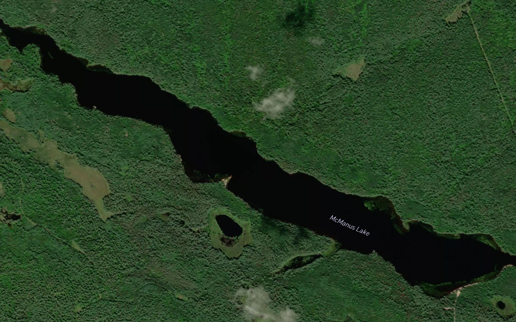 Satellite map of the McManus Lake