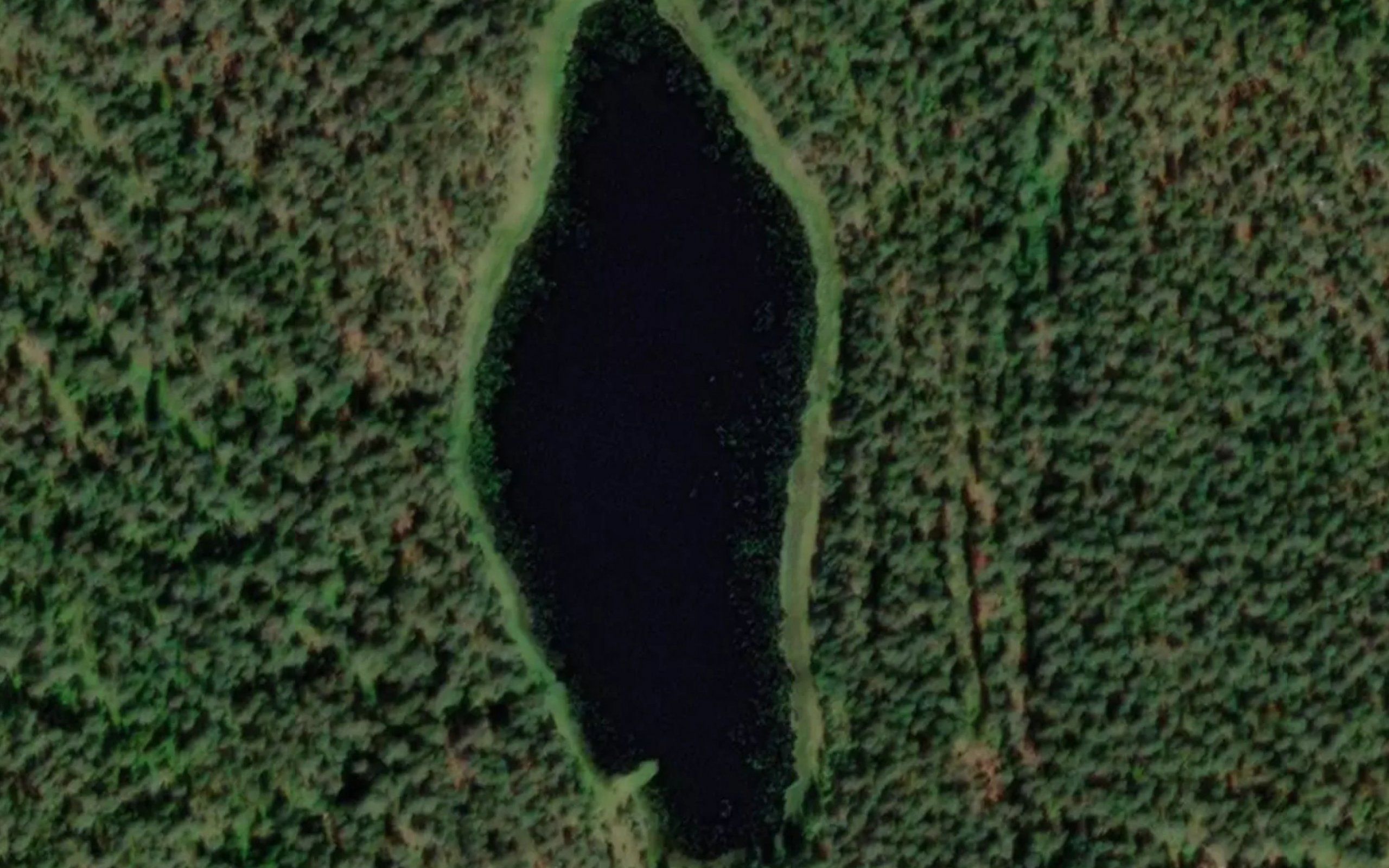 Pilkkalampi