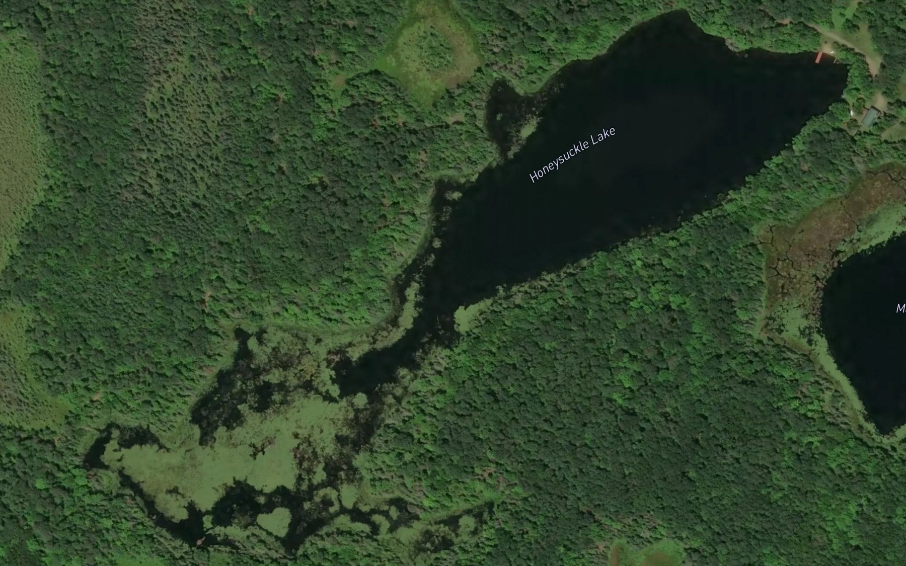 Satellite map of the Honeysuckle Lake