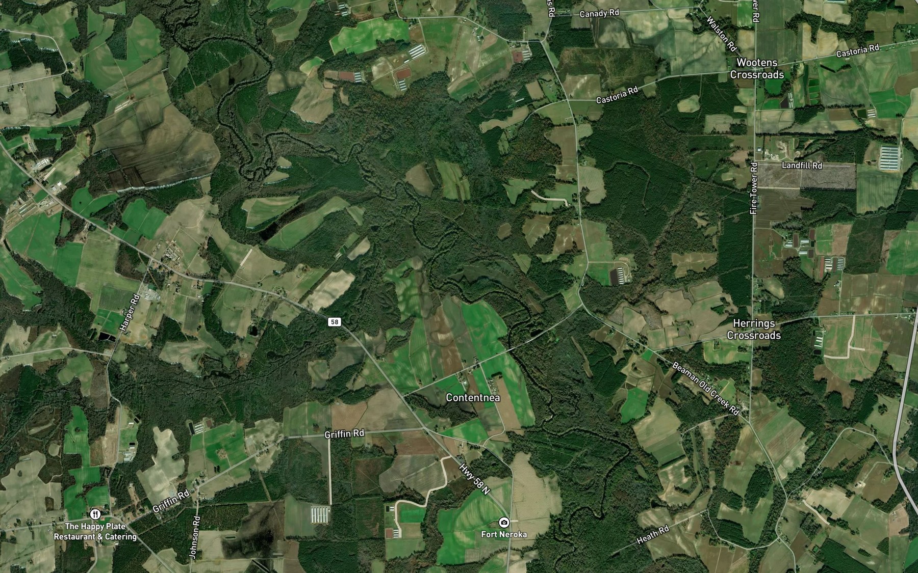Satellite map of the Nahunta Swamp