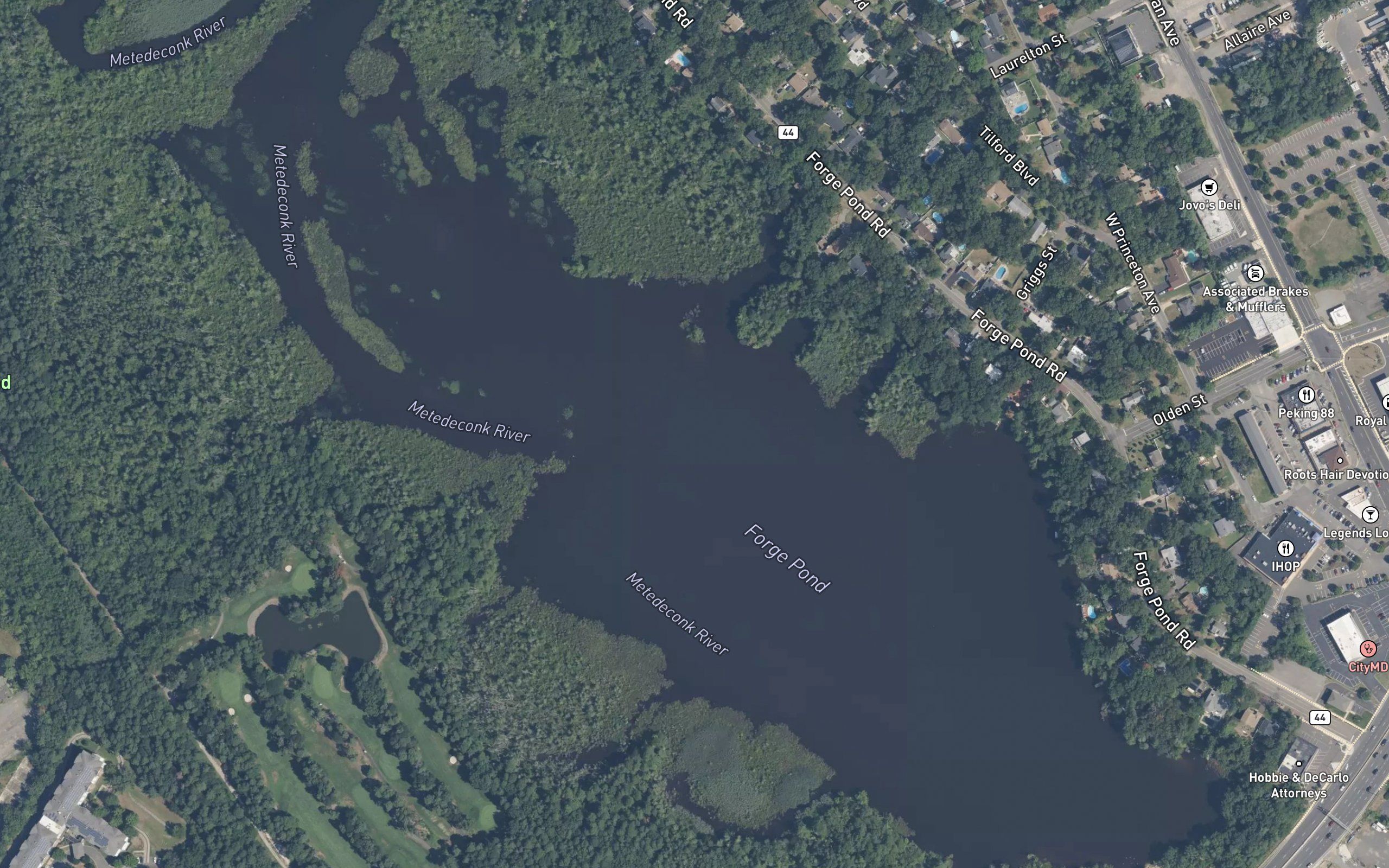 Forge Pond