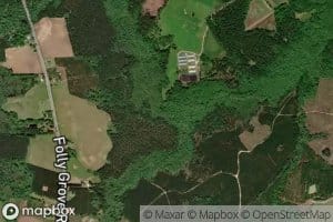Boser Swamp