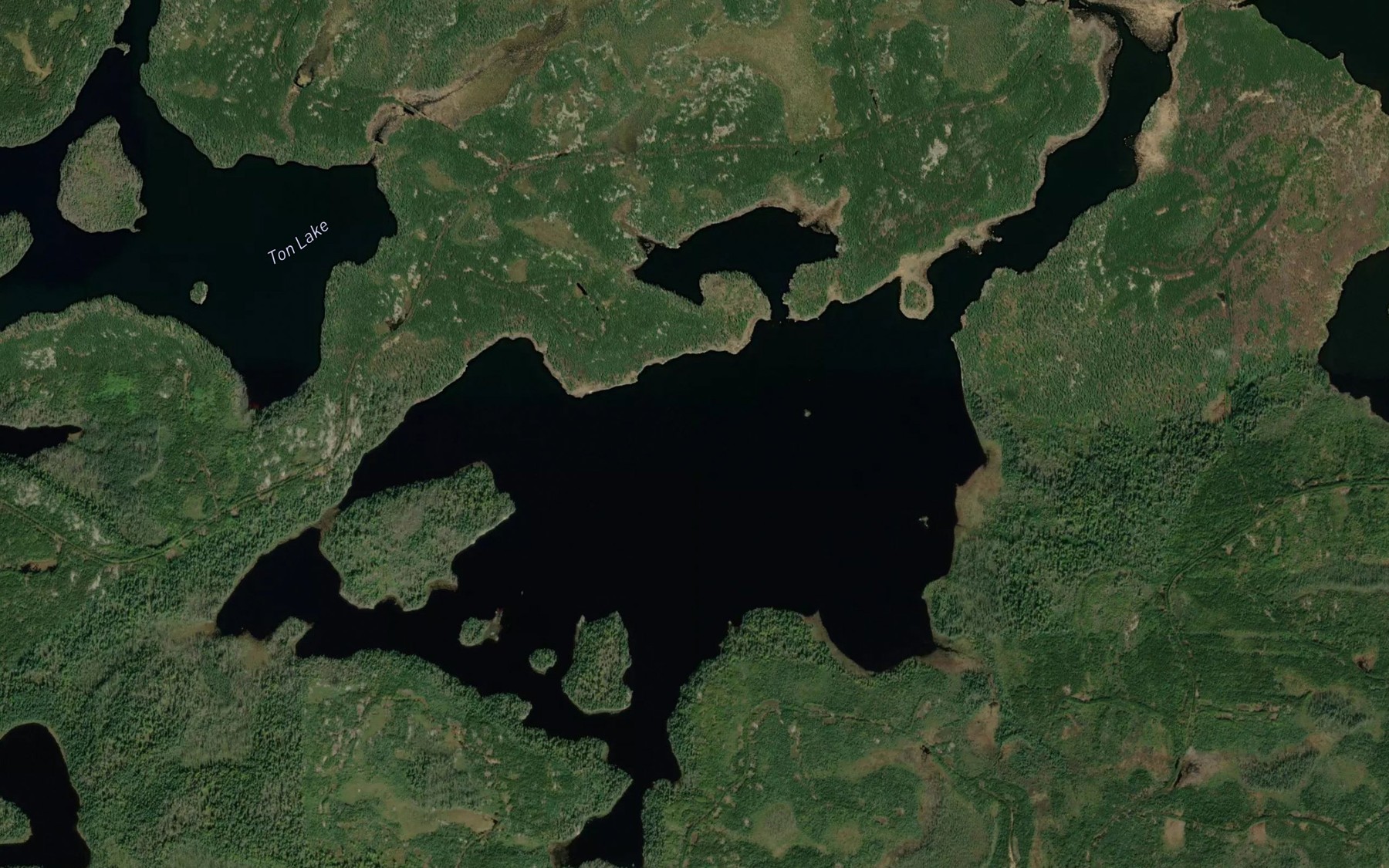 Satellite map of the Robert Lake