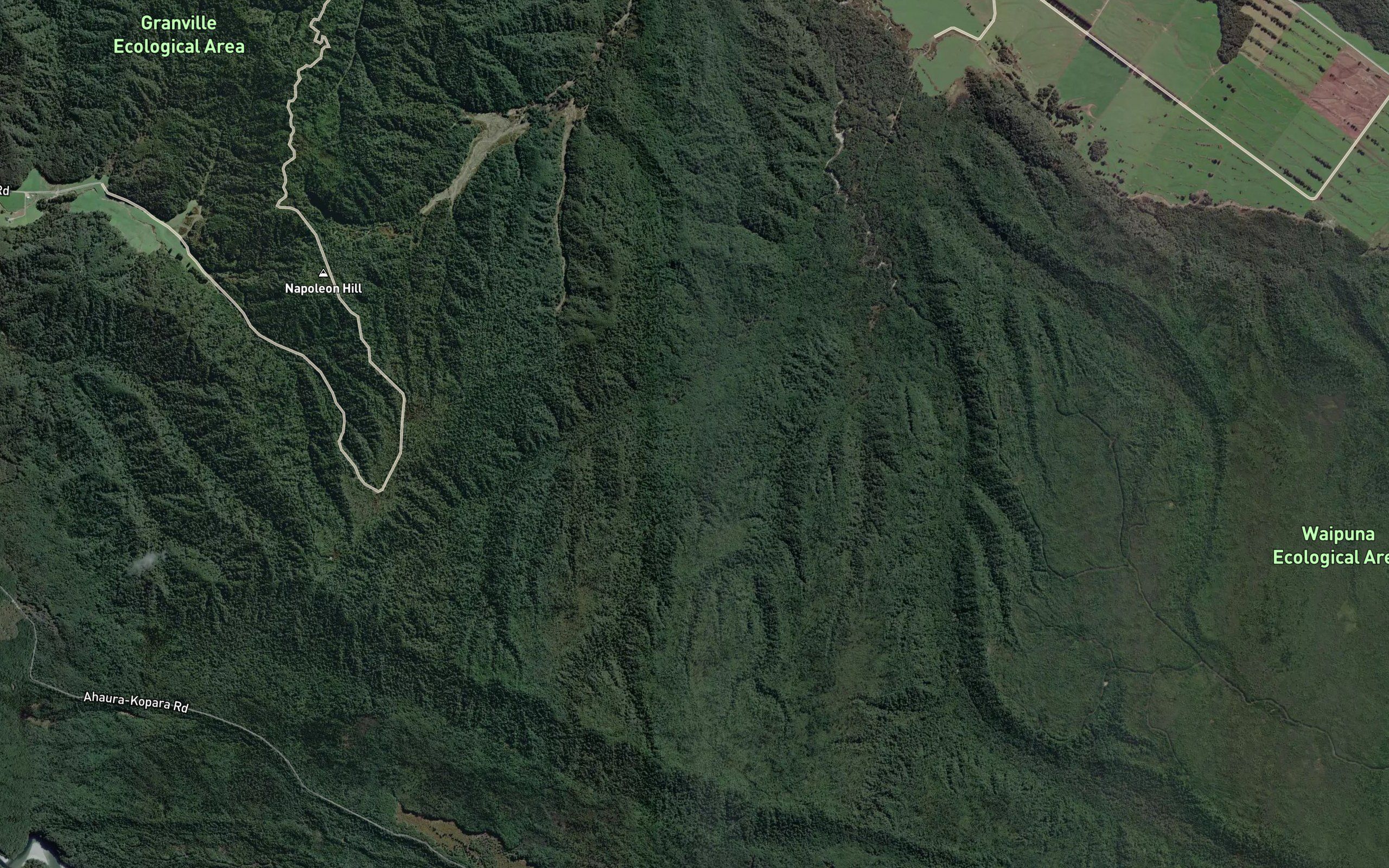 Wairau Creek
