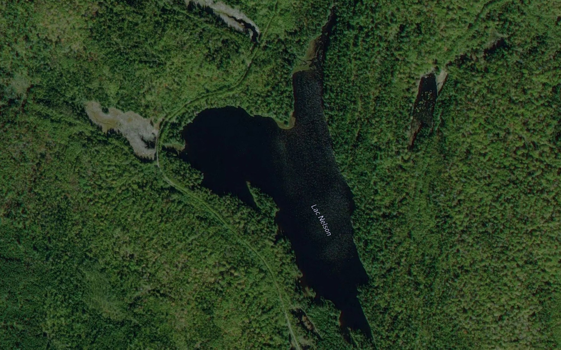 Satellite map of the Lac Nelson