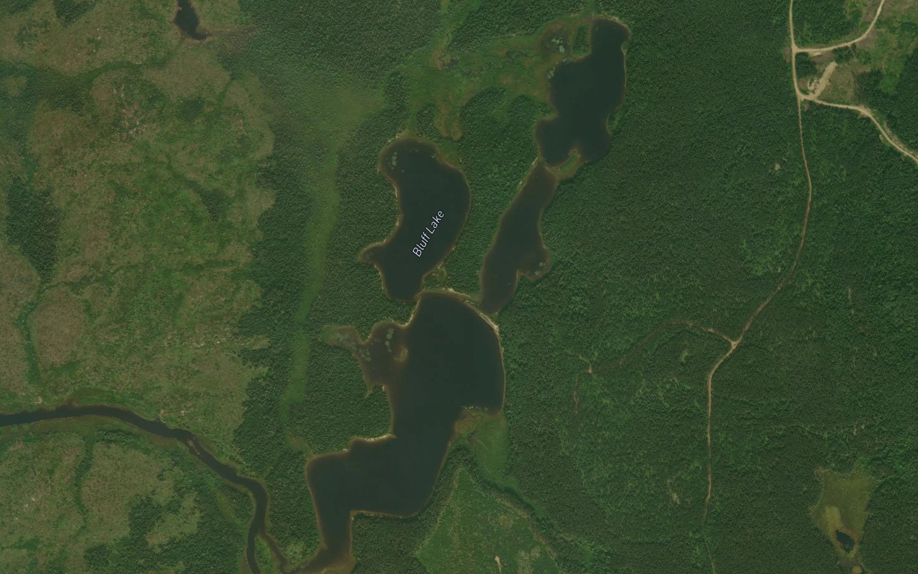 Satellite map of the Bluff Lake