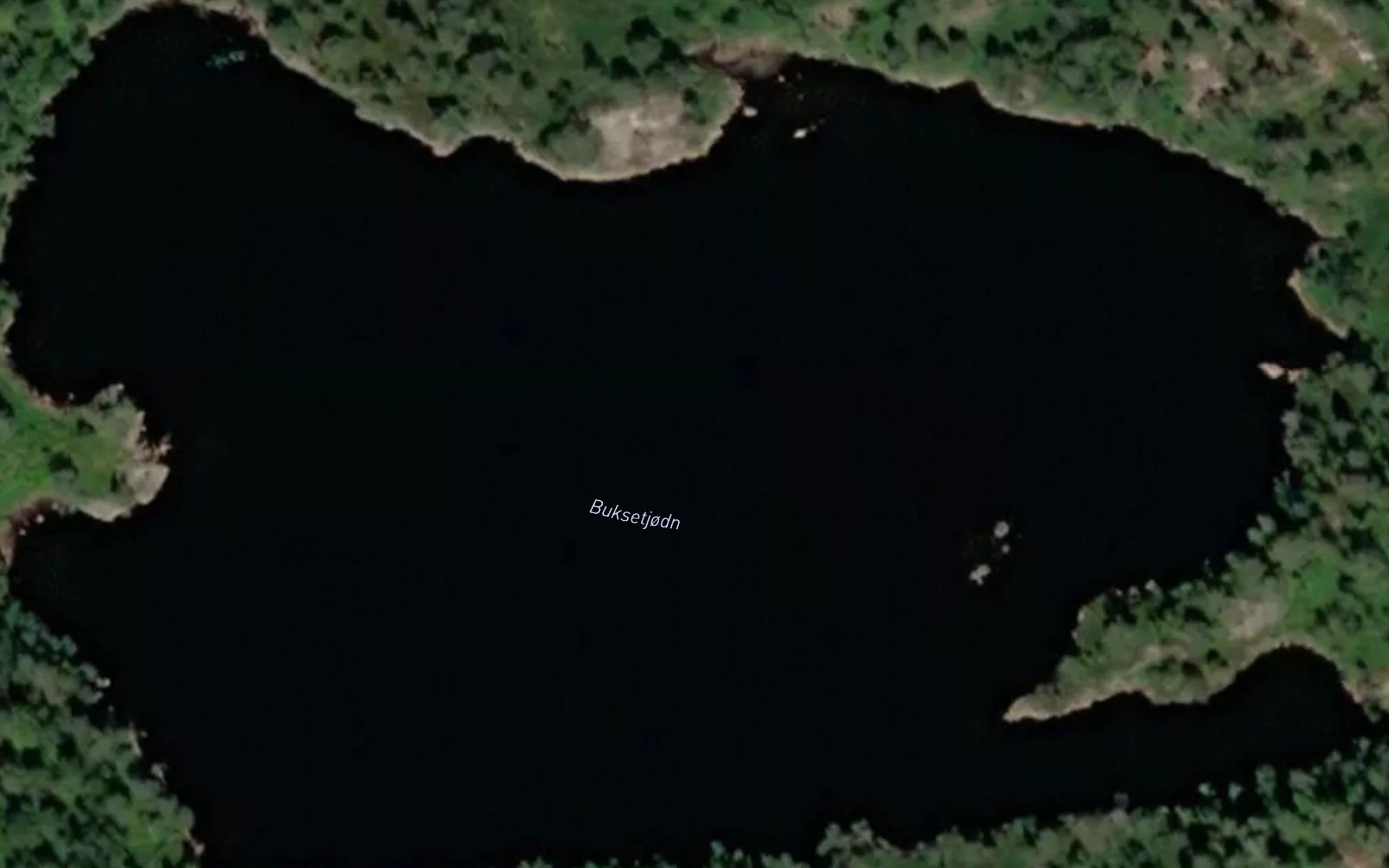 Buksetjorn