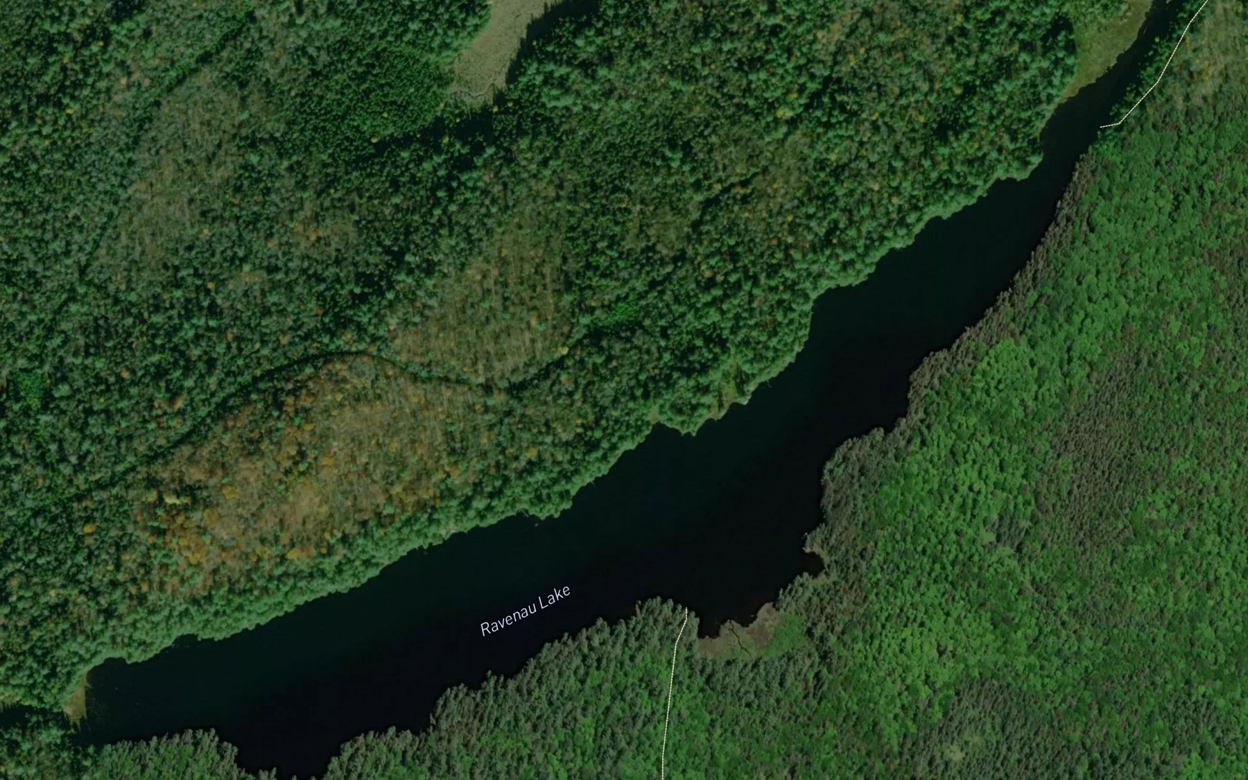Satellite map of the Ravenau Lake