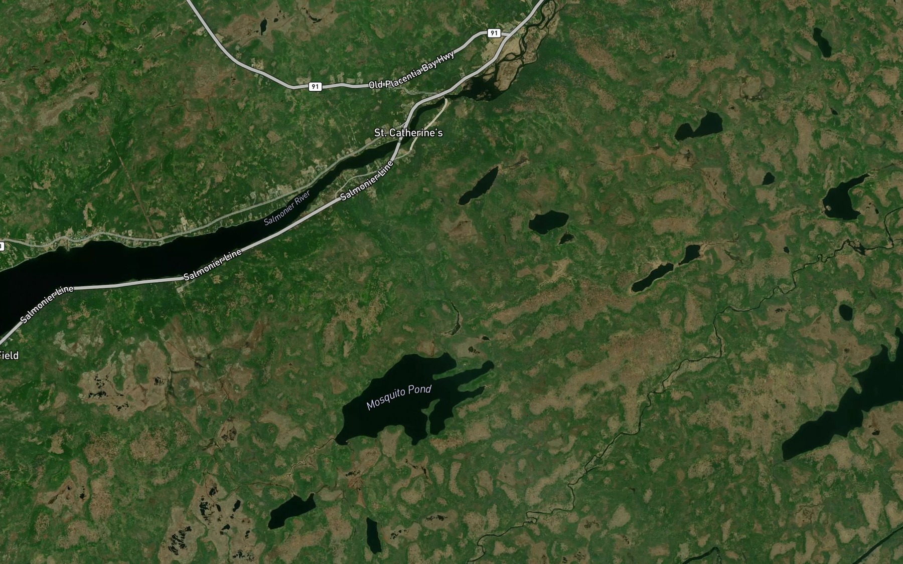 Satellite map of the Lavender Pond