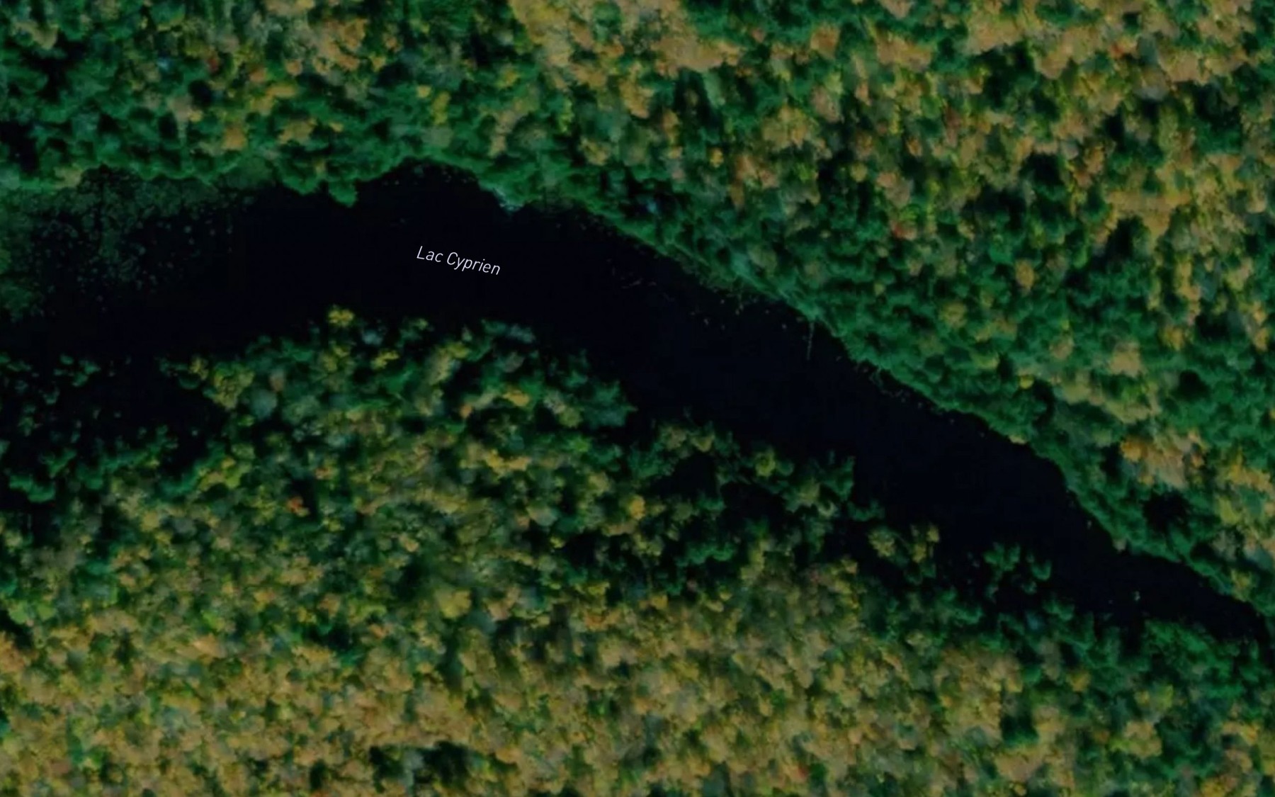 Satellite map of the Lac Cyprien