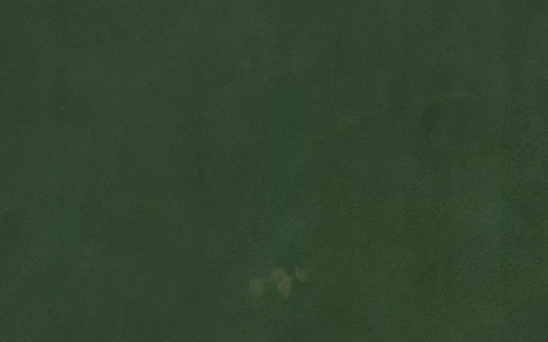 Satellite map of the Niengu