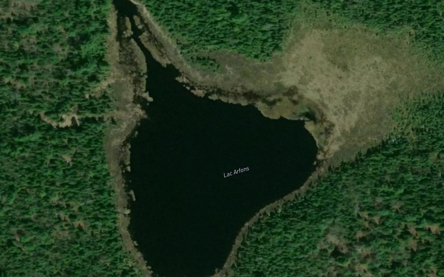 Satellite map of the Lac Arfons