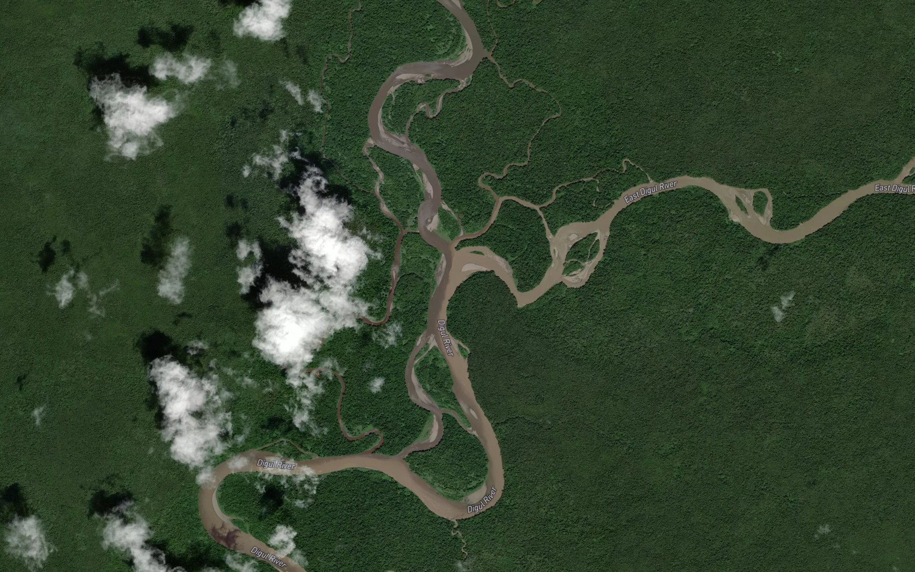 Satellite map of the Sungai Digul Timur
