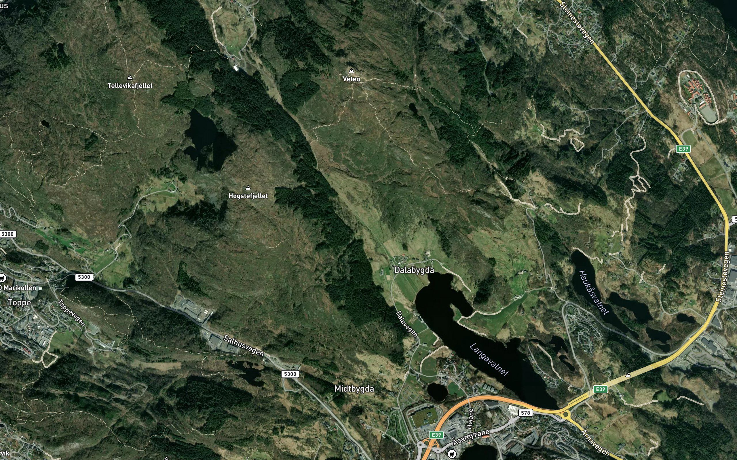 Dalselva