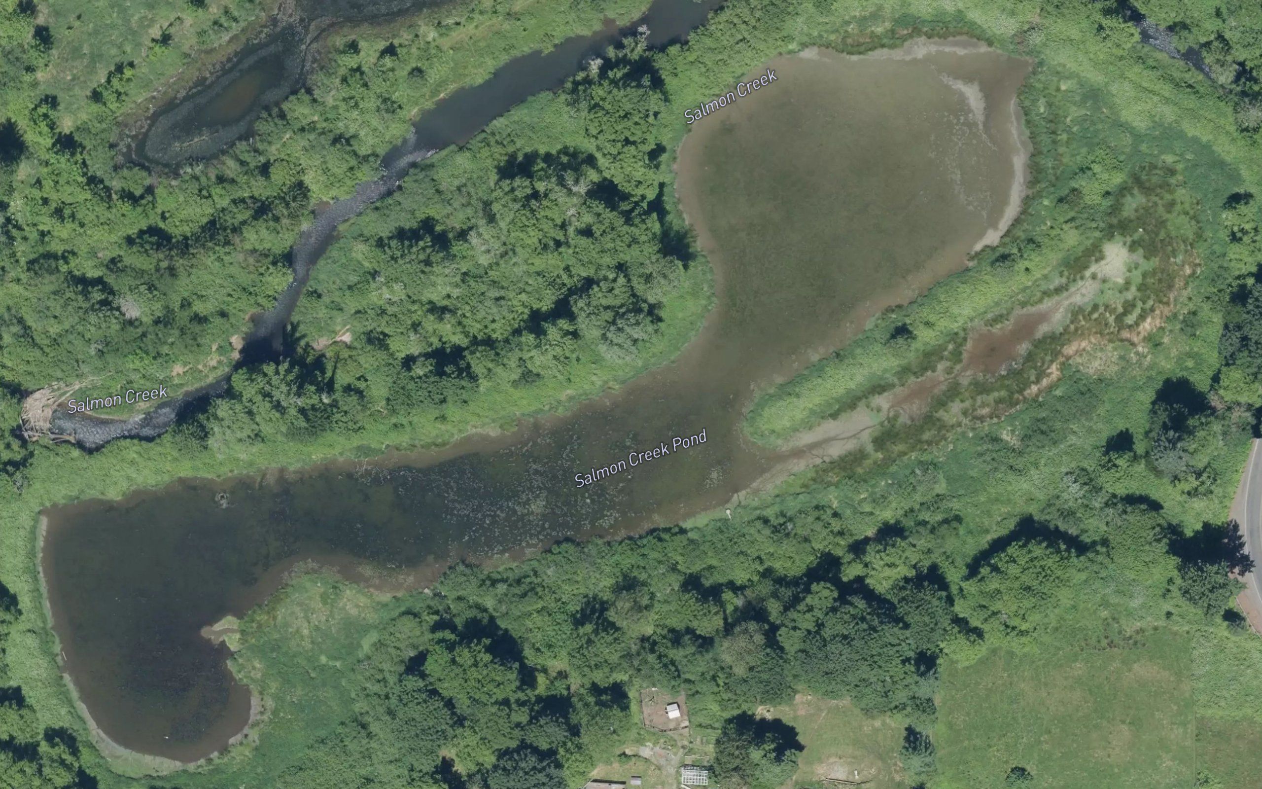 Salmon Creek Pond