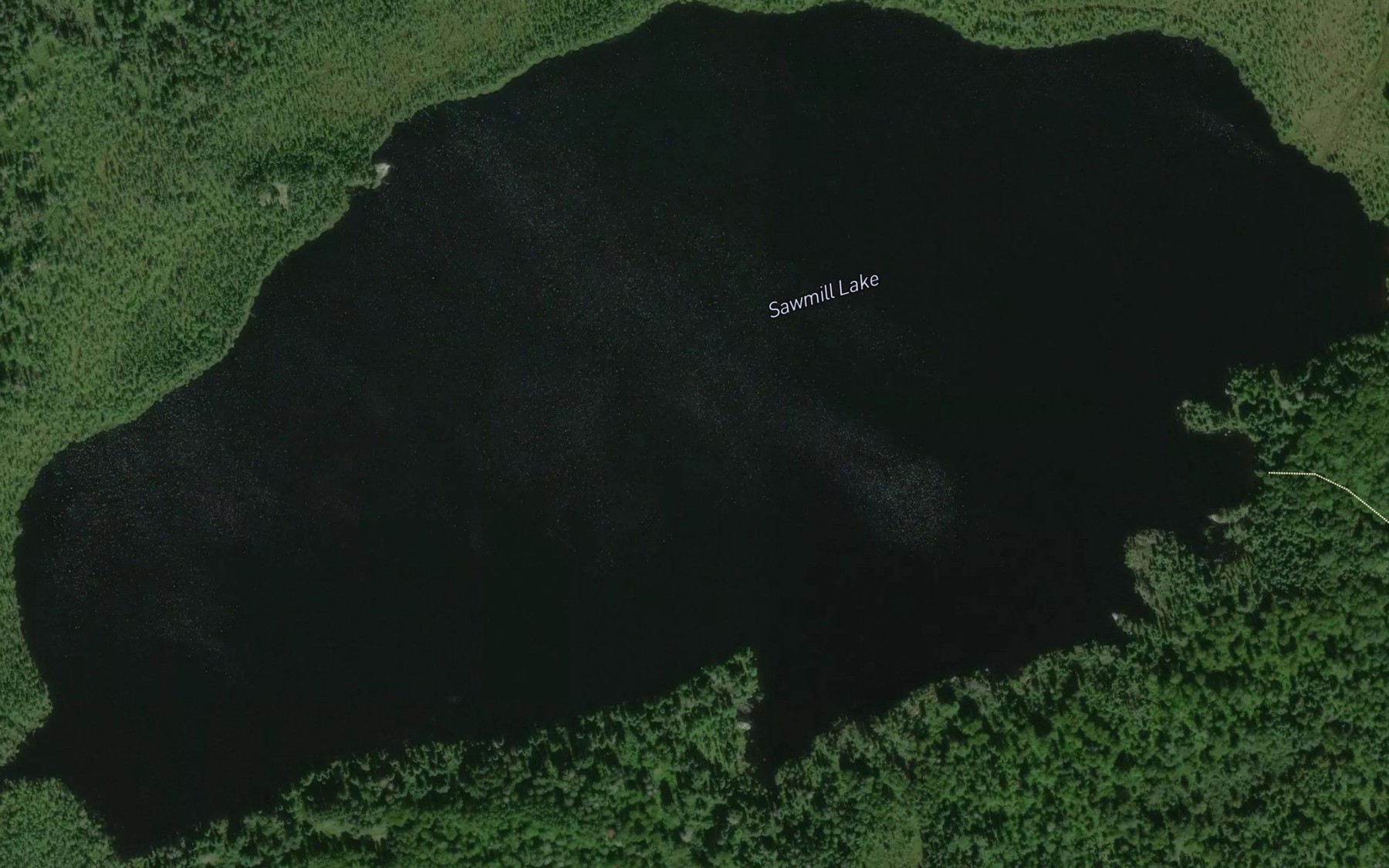 Satellite map of the Sawmill Lake