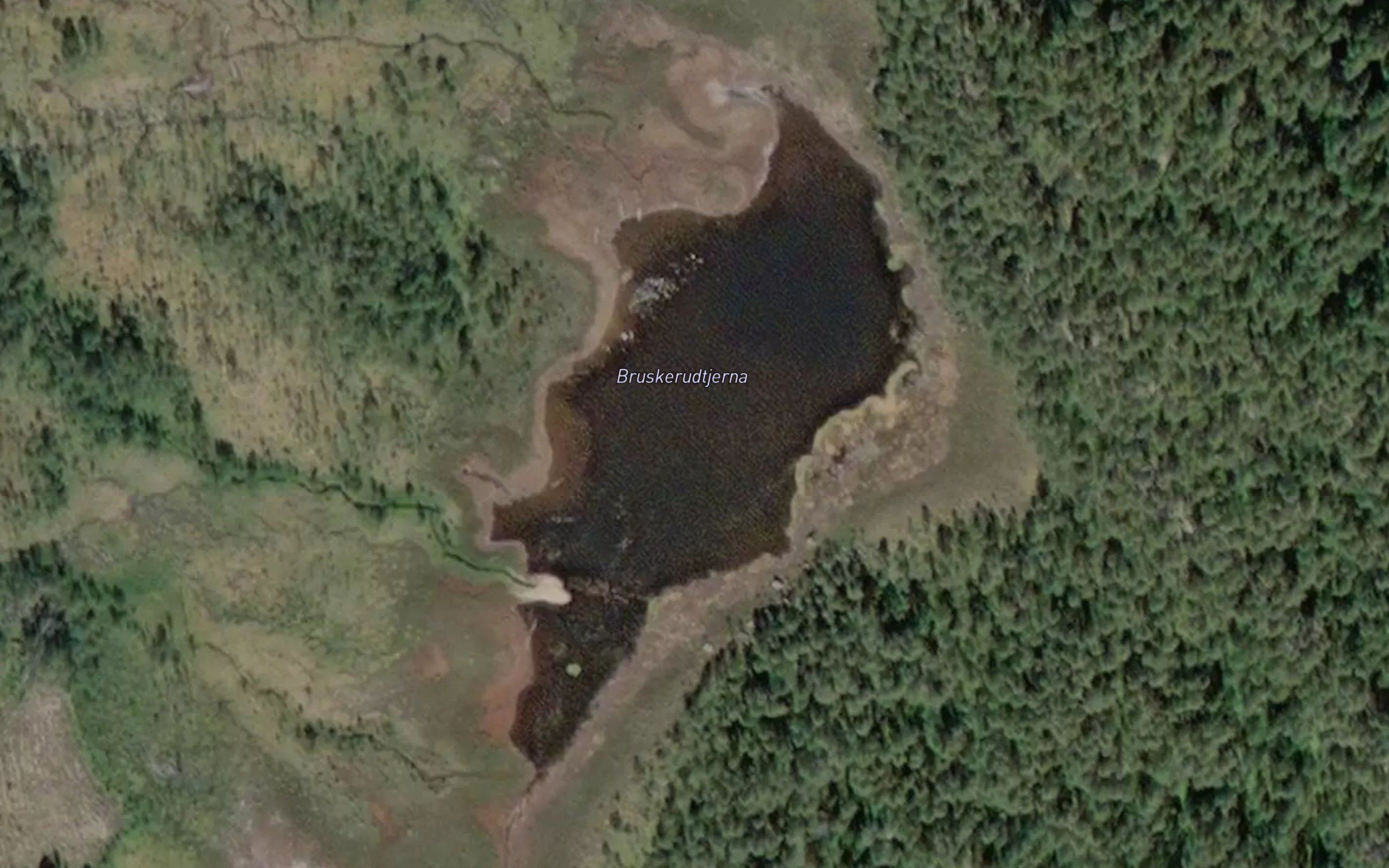 Bruskerudtjerna