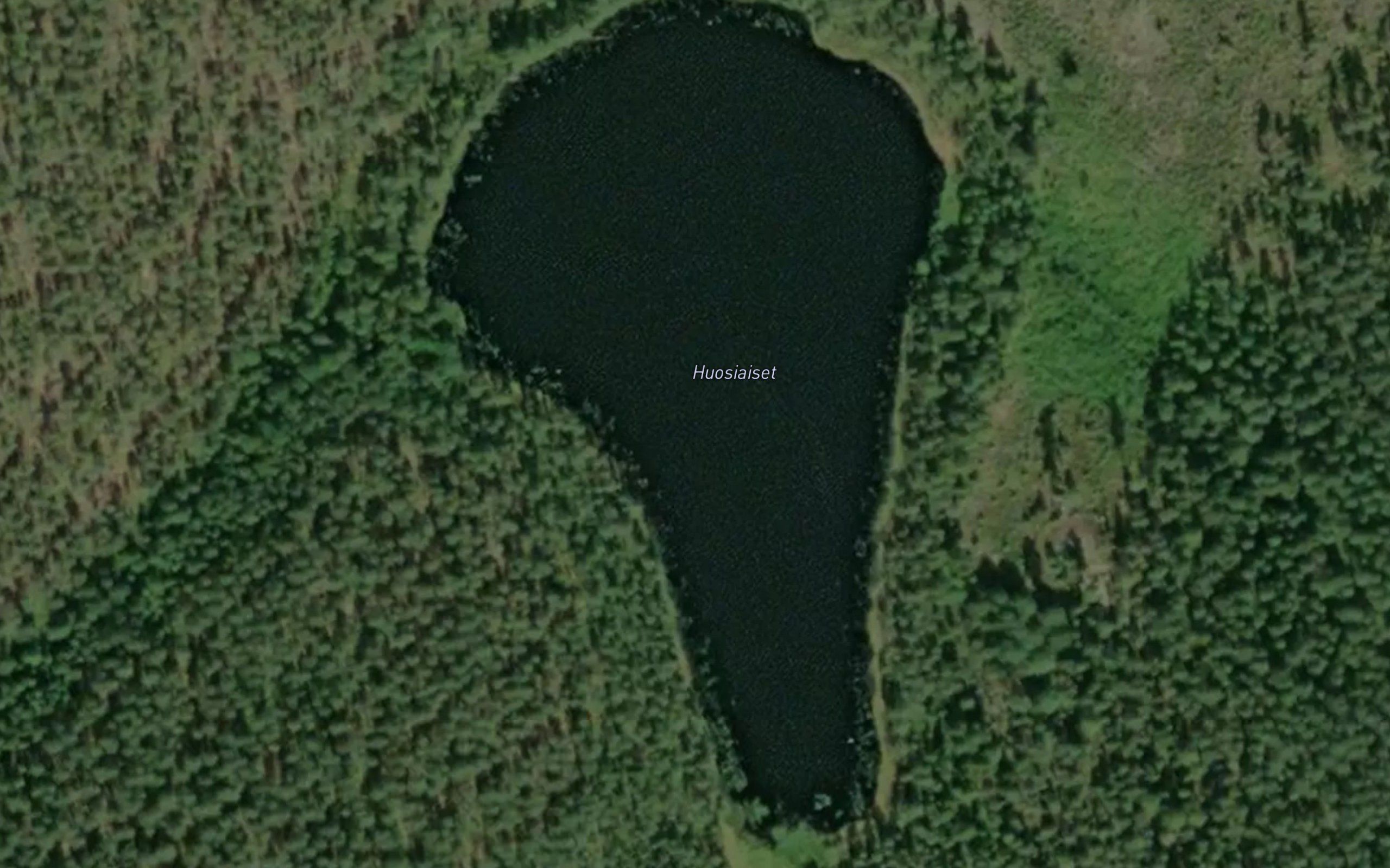 Huosiaiset
