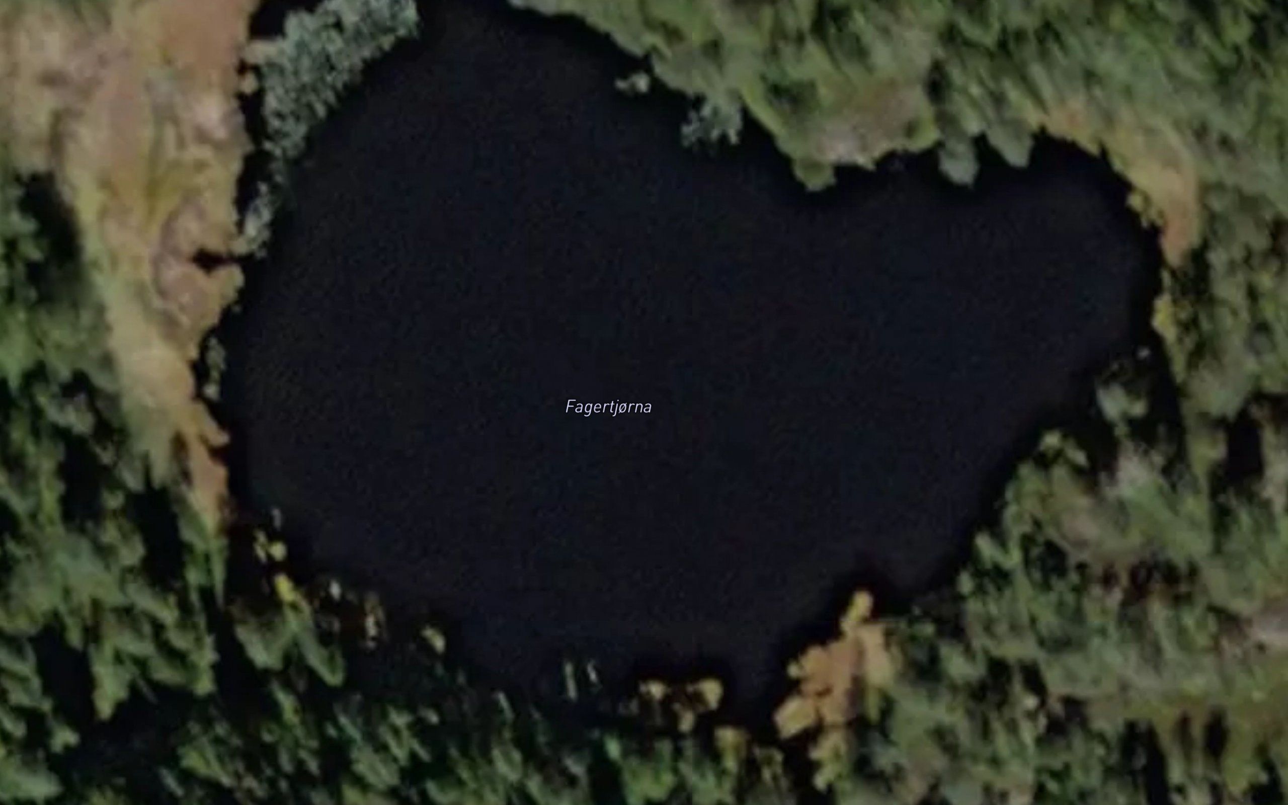 Fagertjorna