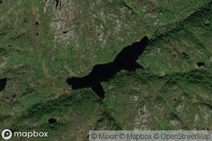 Skrubbetjorn
