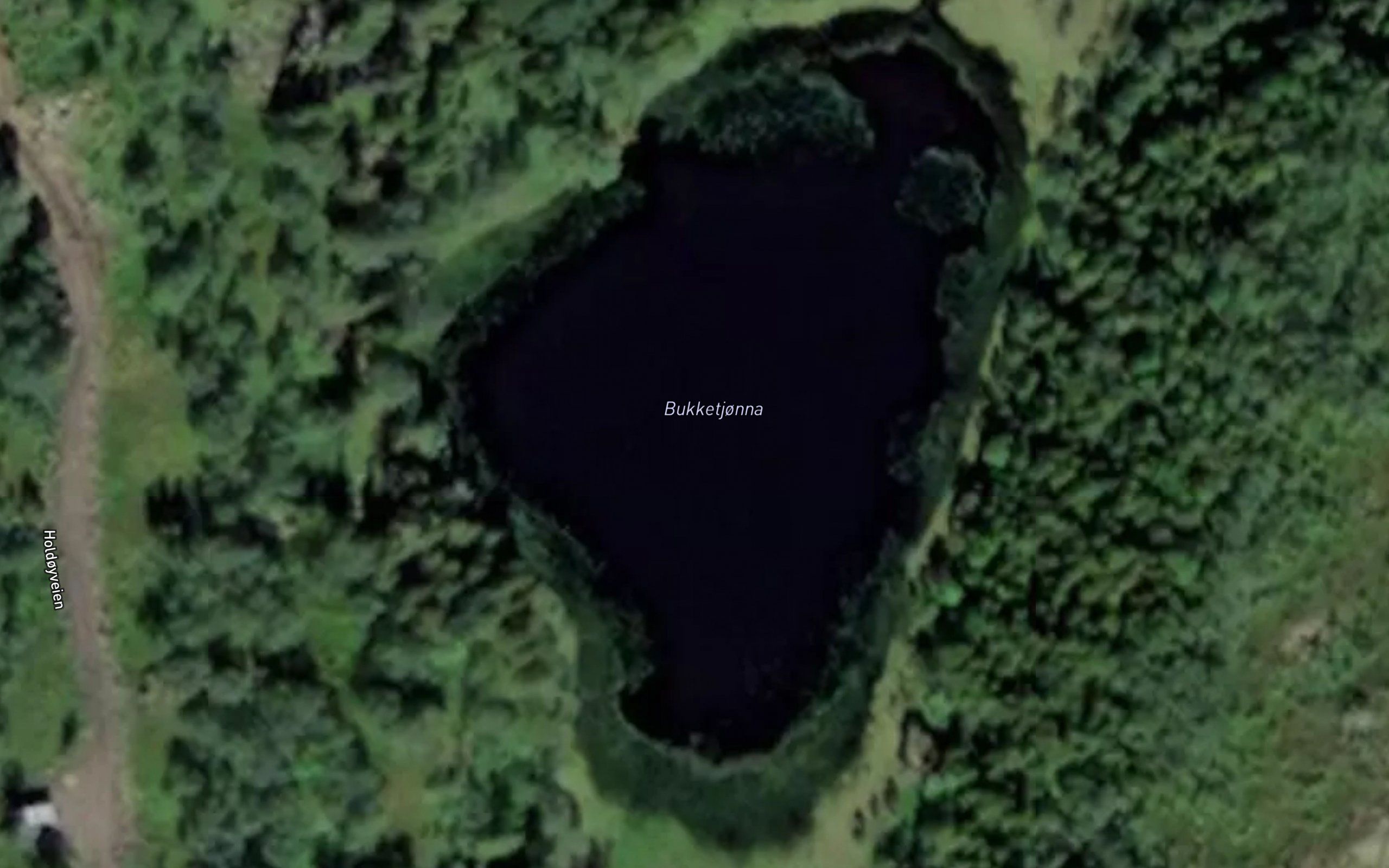 Bukketjonna