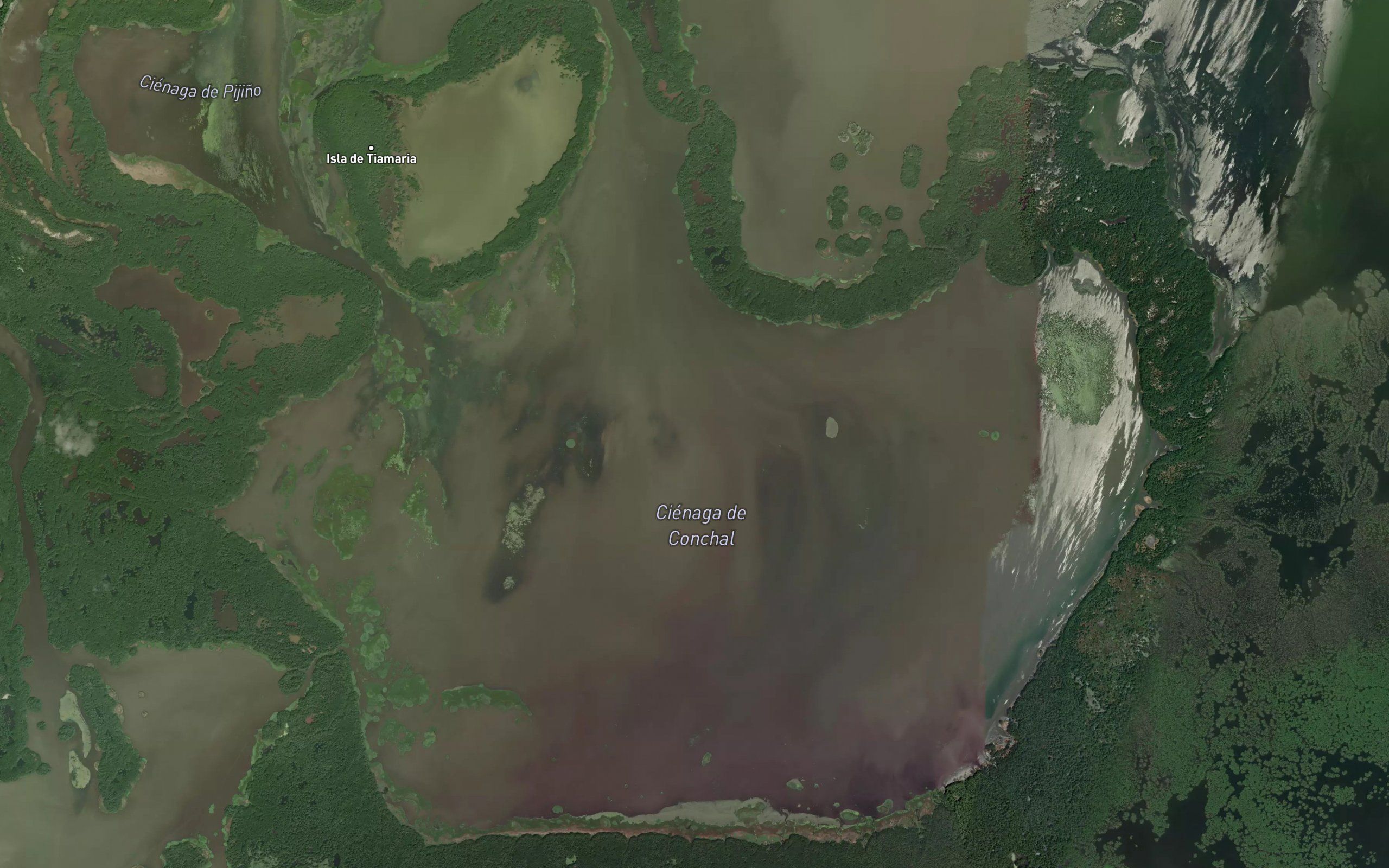 Cienaga de Conchal