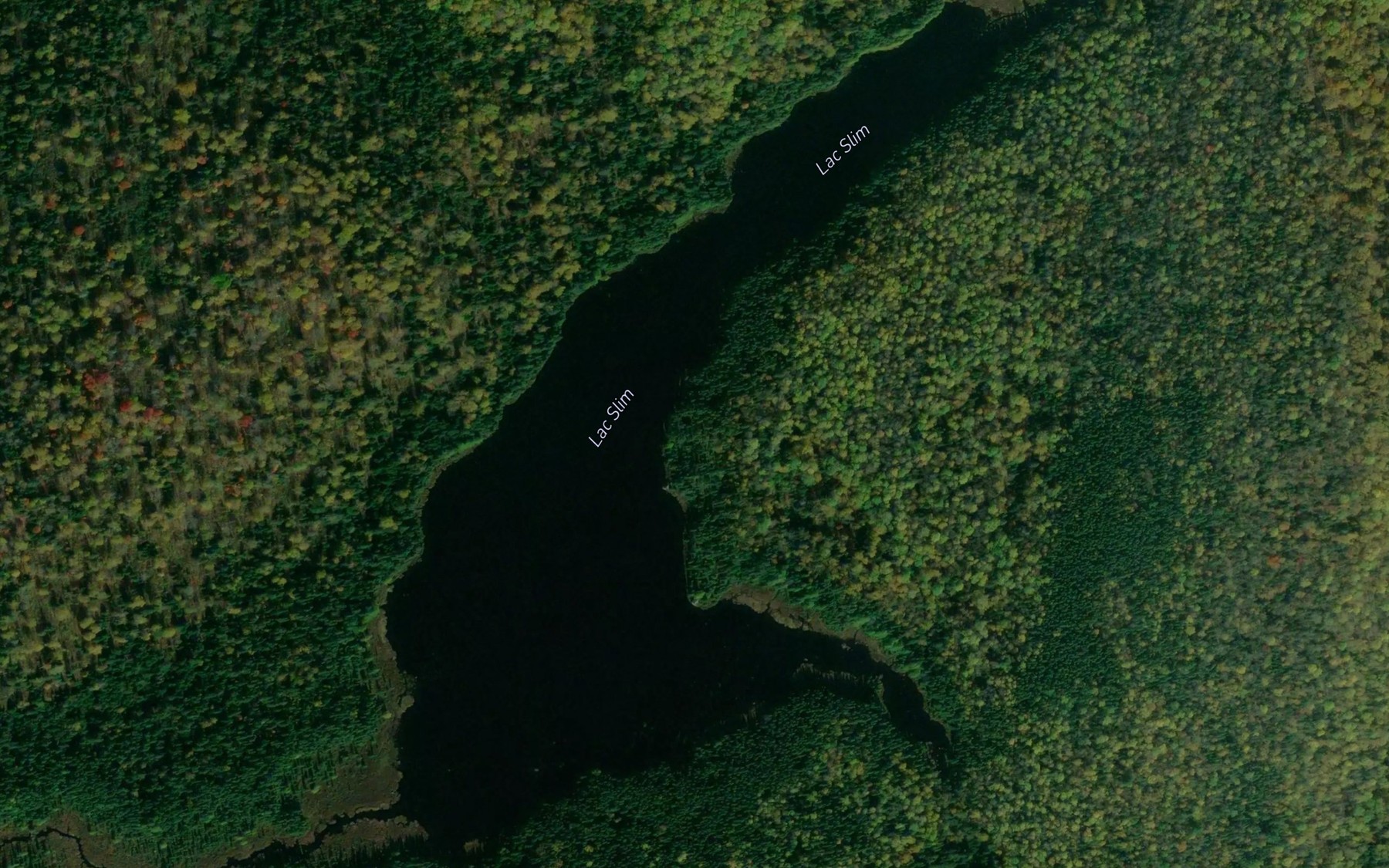 Satellite map of the Lac Slim