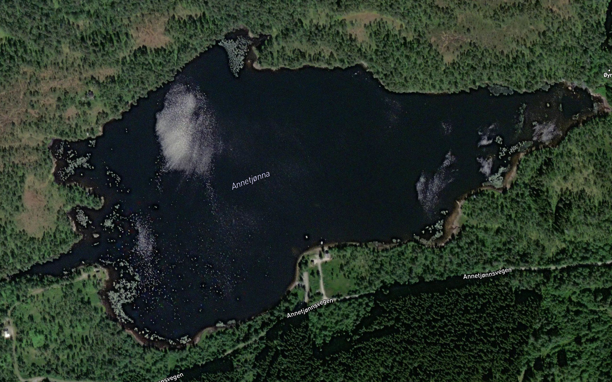 Andetjorna