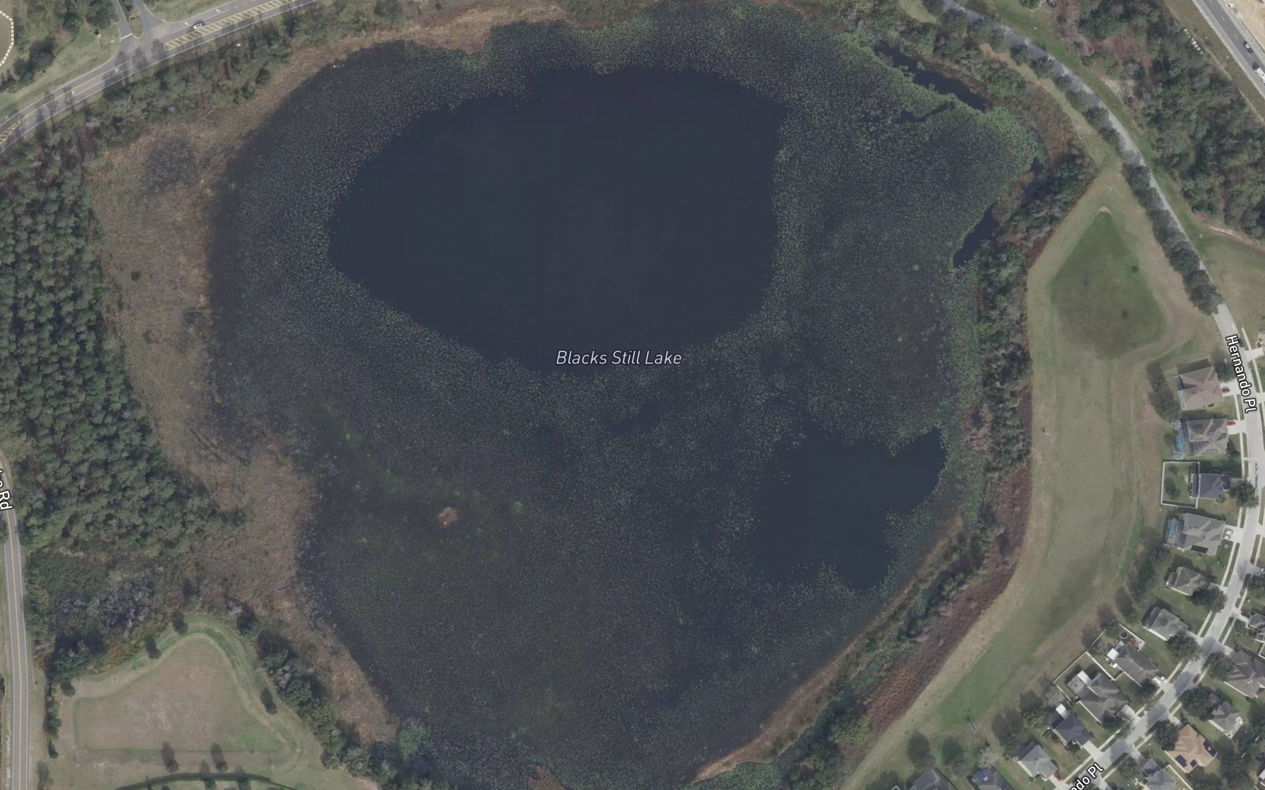 Blacks Still Lake