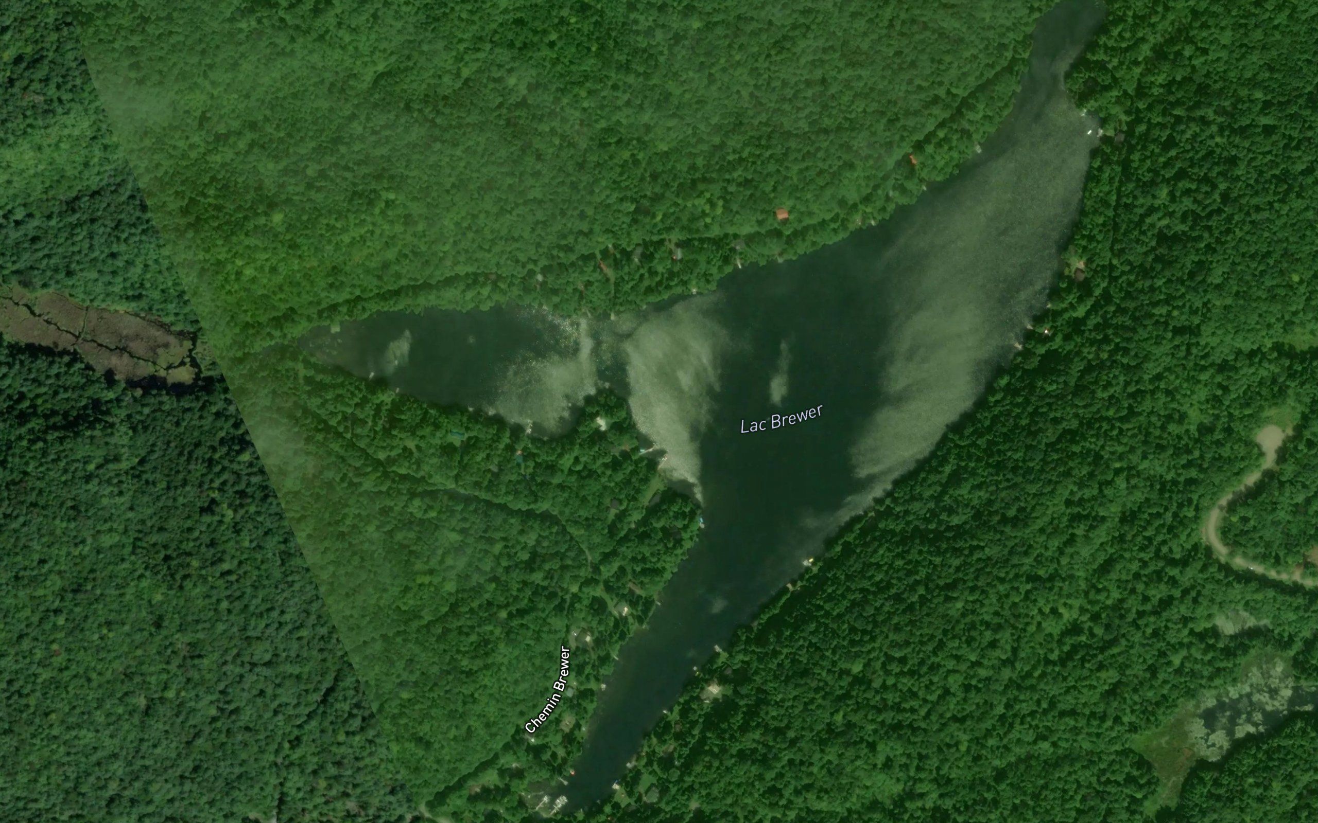 Lac Brewer
