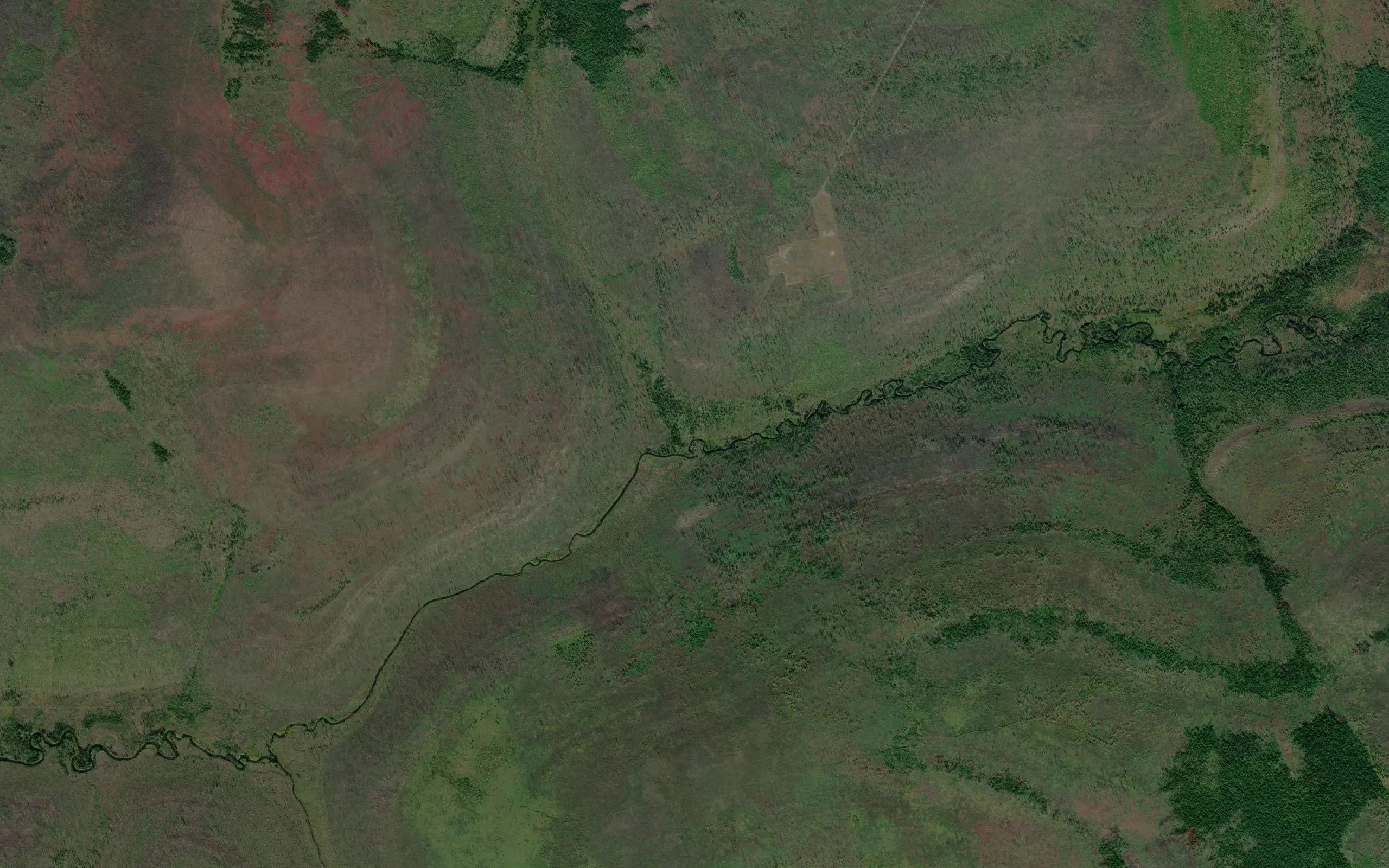 Kedrovaya