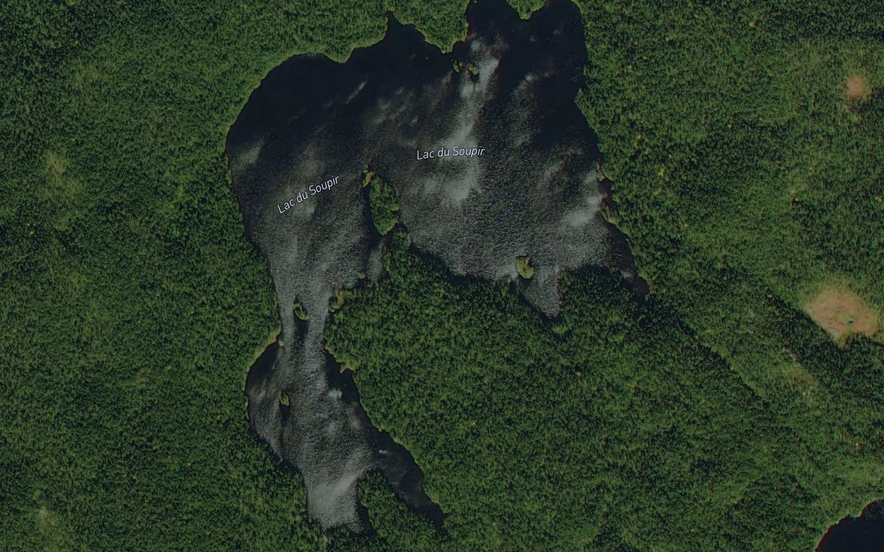 Satellite map of the Lac du Soupir