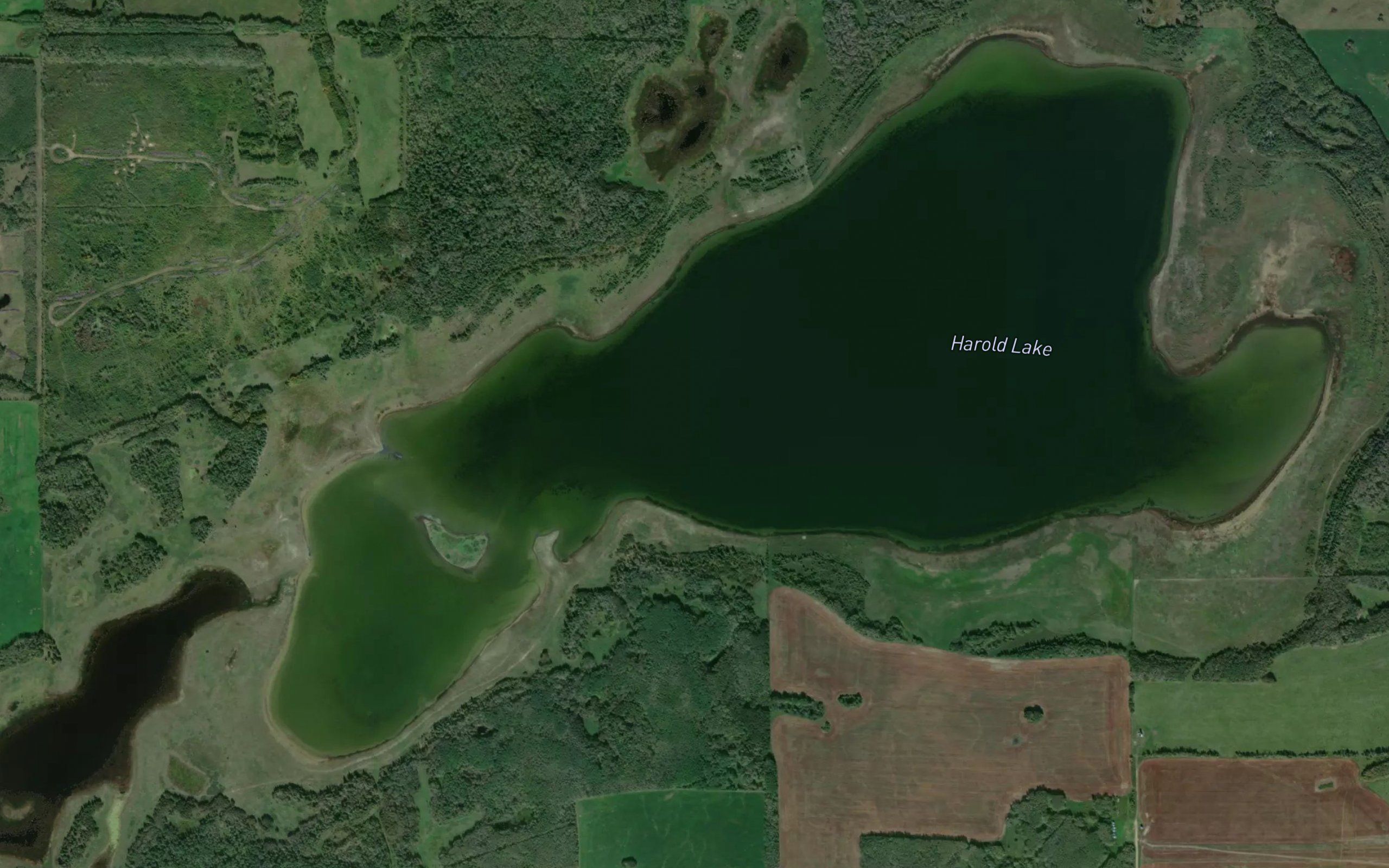 Harold Lake