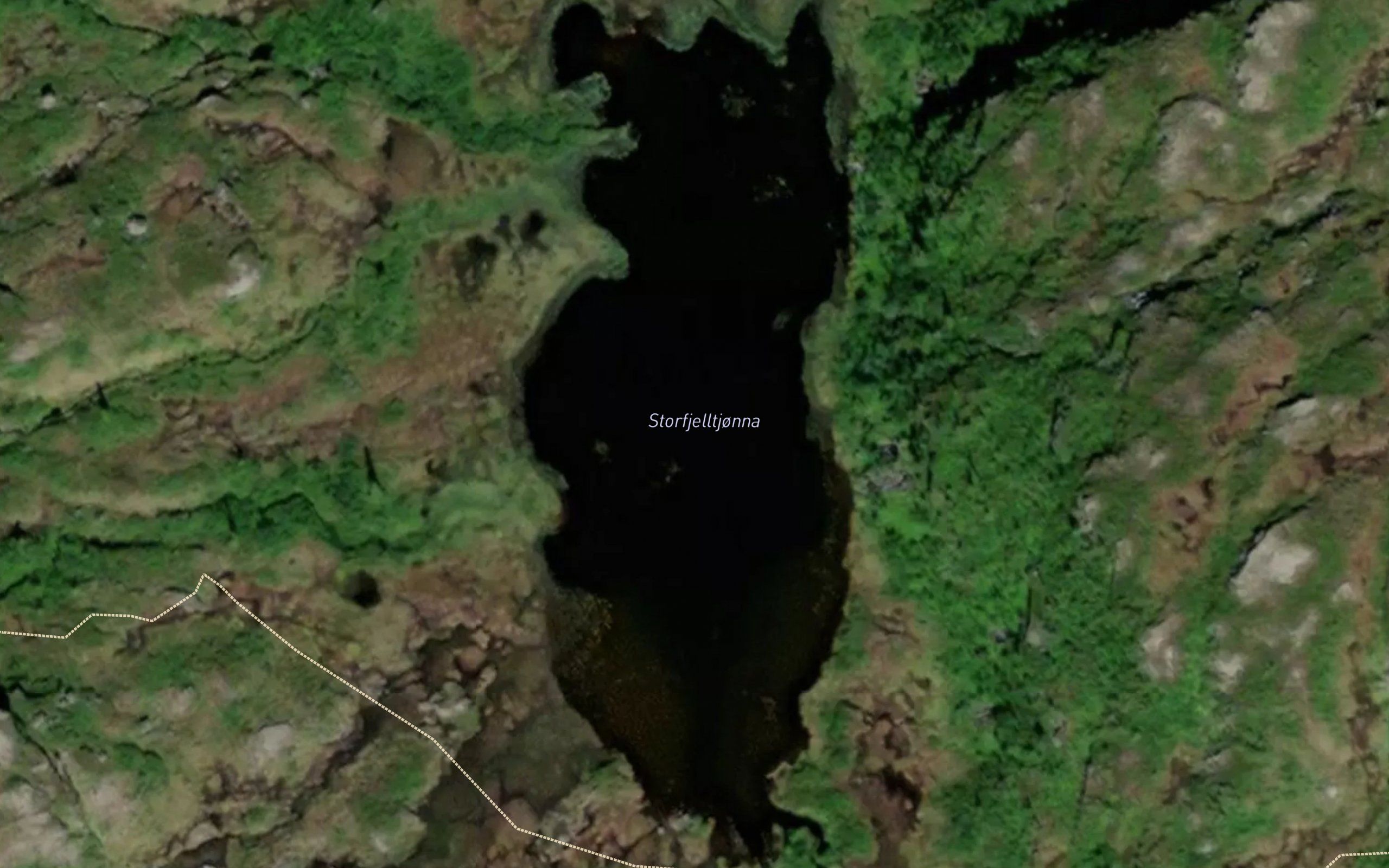 Storfjelltjorna