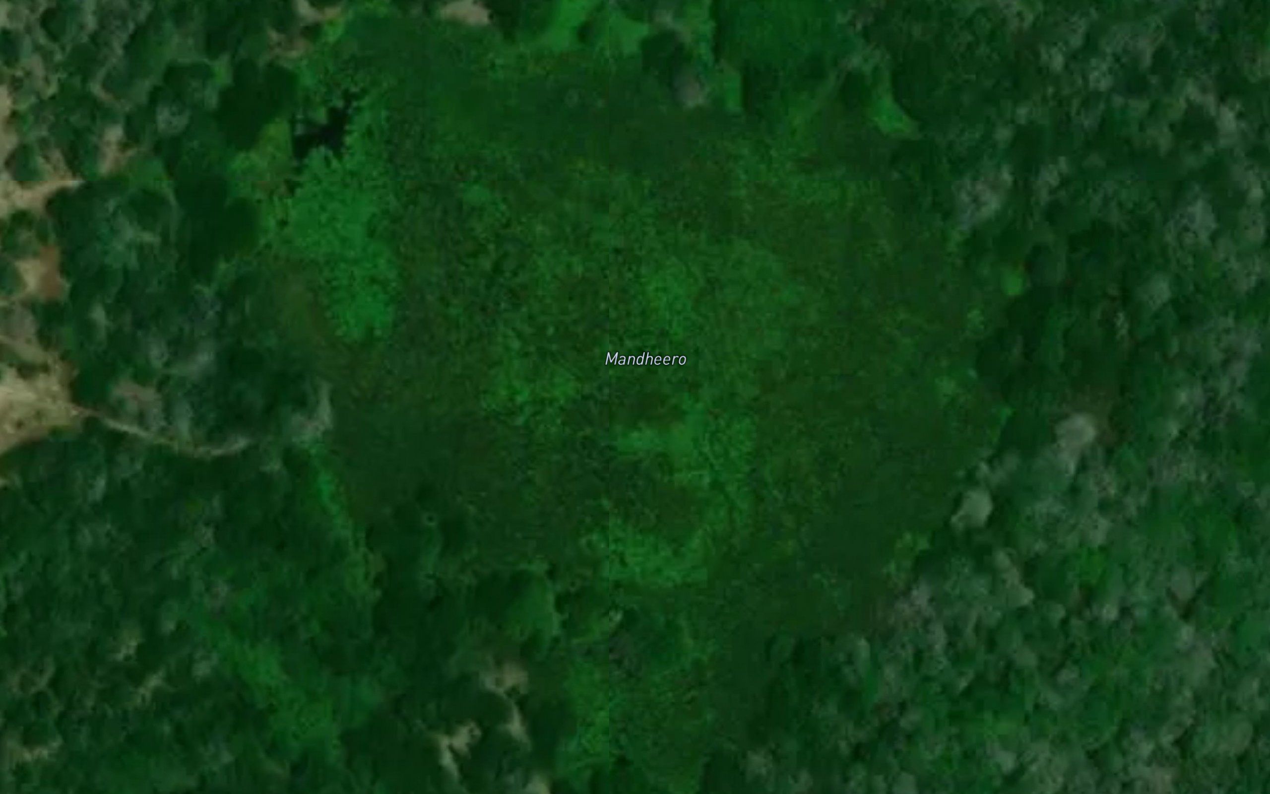 Mandheero