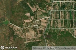 Sa Nam Ro Pho Cho Ban Mai Samakkhi