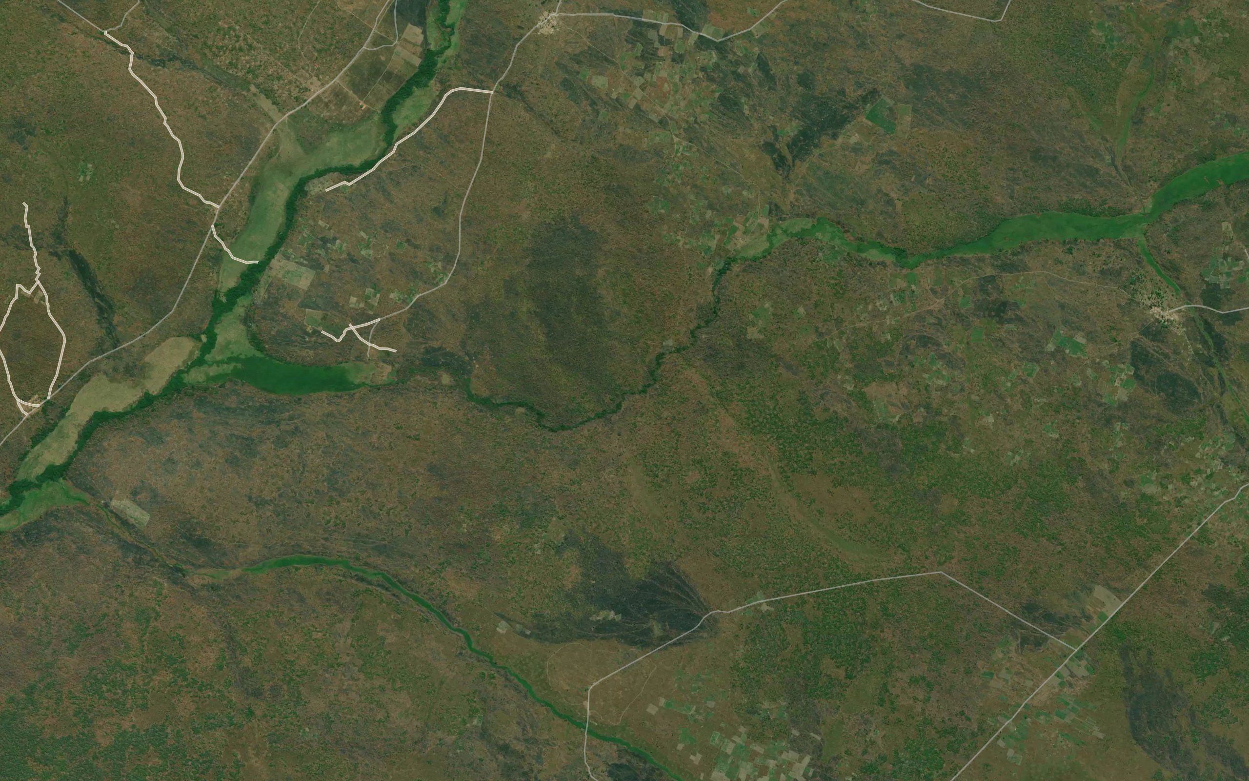 Cazola