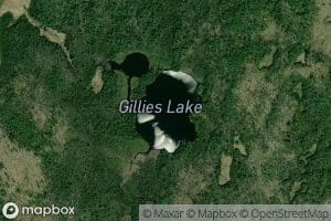 Gillies Lake