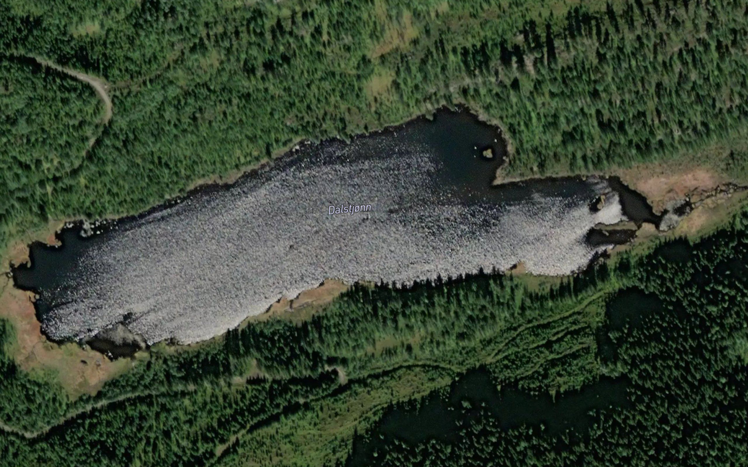 Dalstjorn