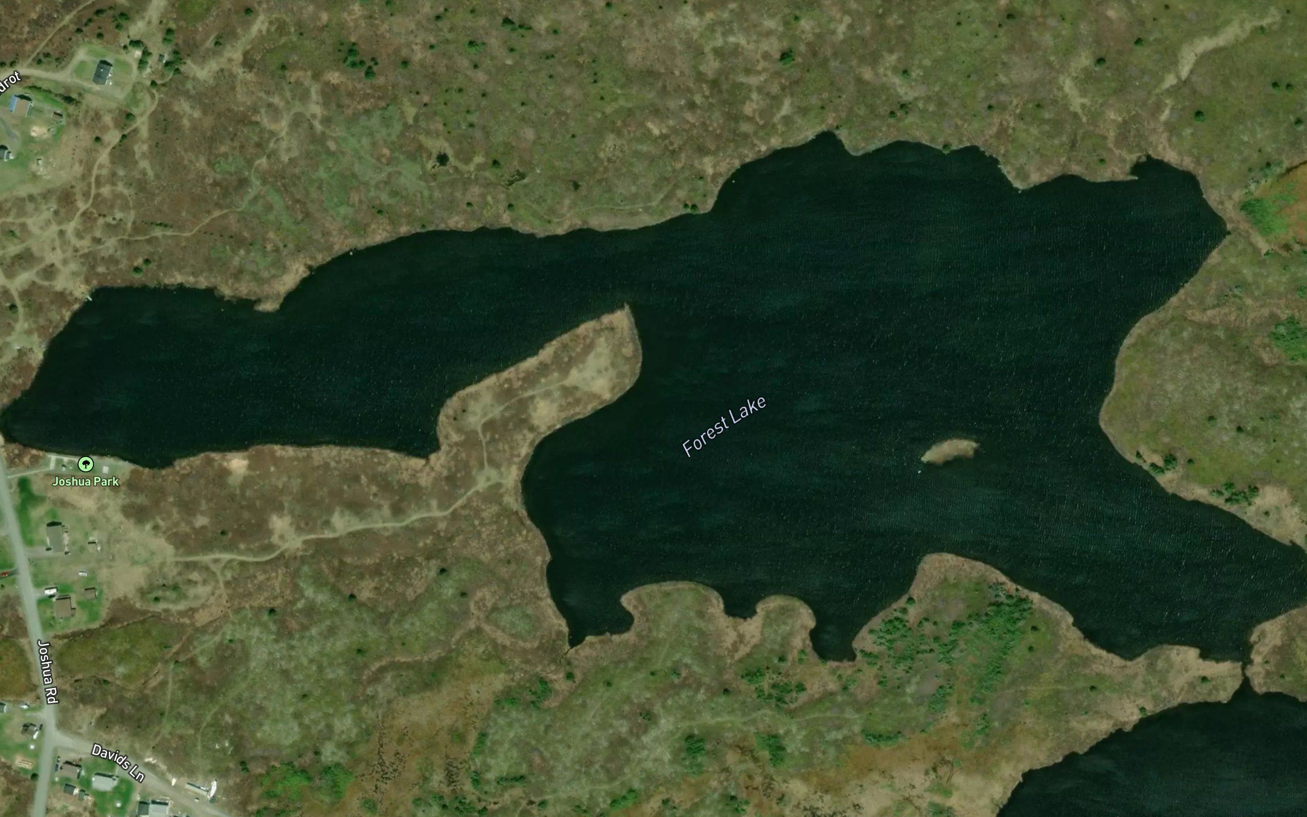 Forest Lake