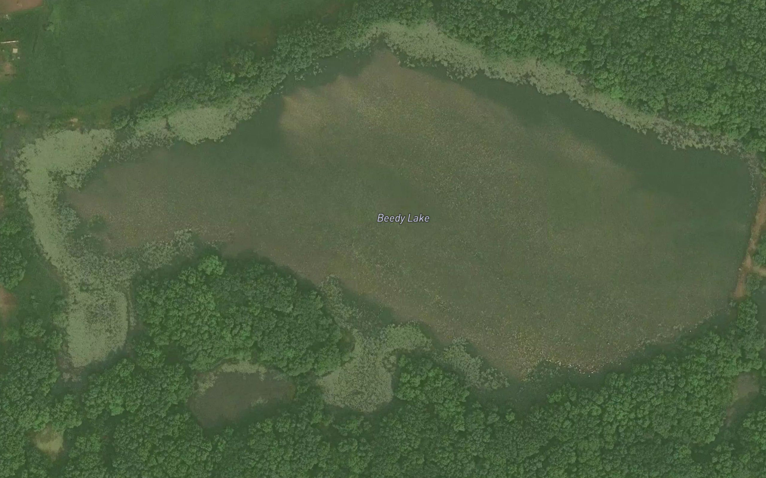 Beedy Lake