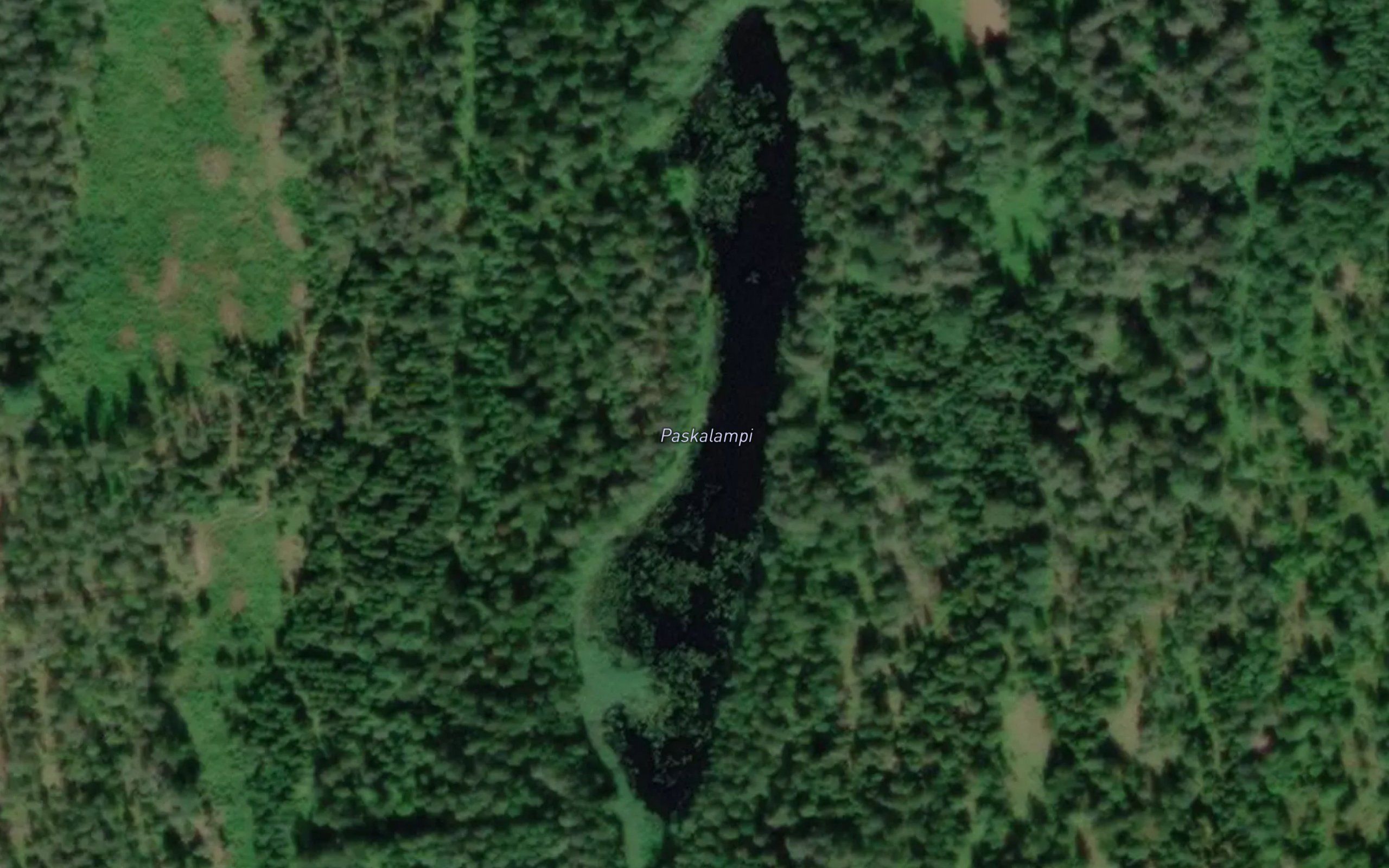 Paskalampi