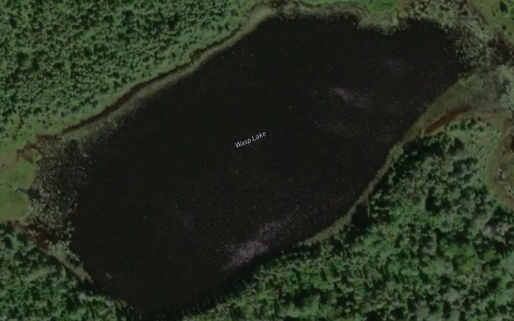 Satellite map of the Wasp Lake
