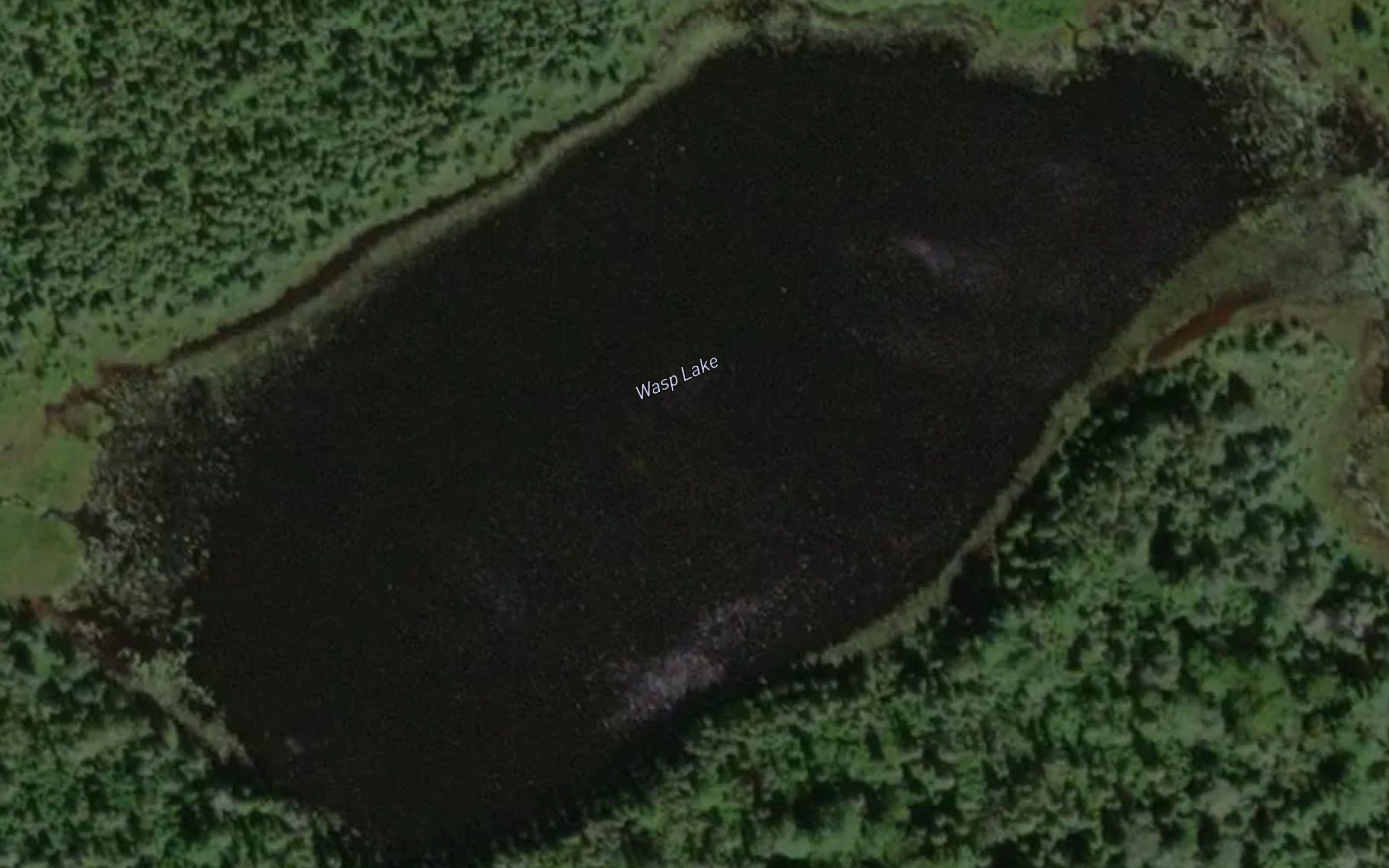 Wasp Lake