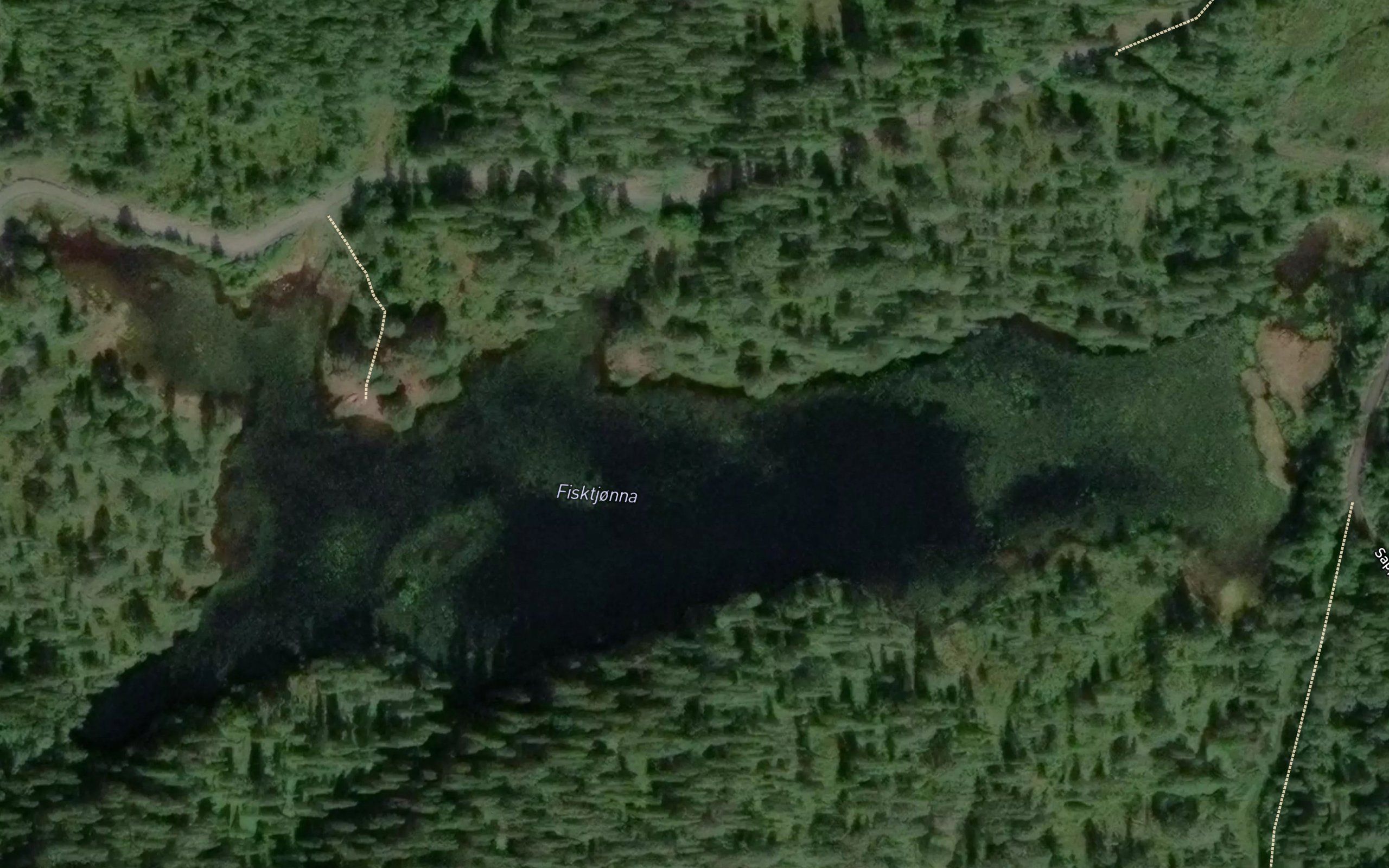 Fisktjorna