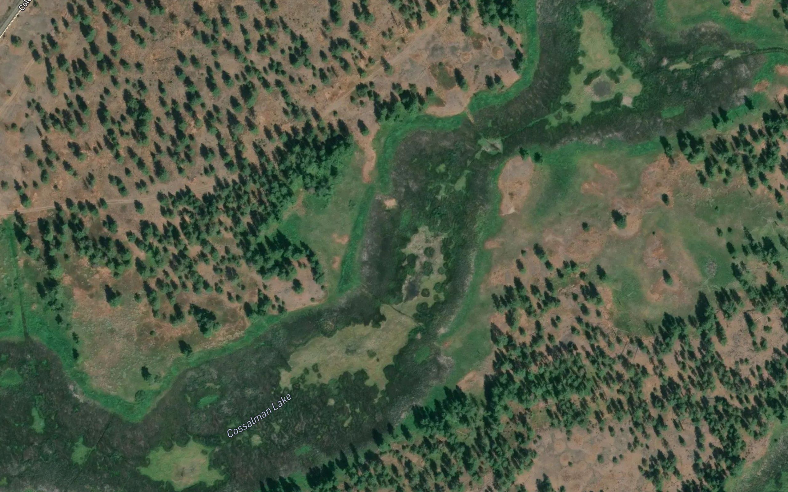 Cossalman Lake