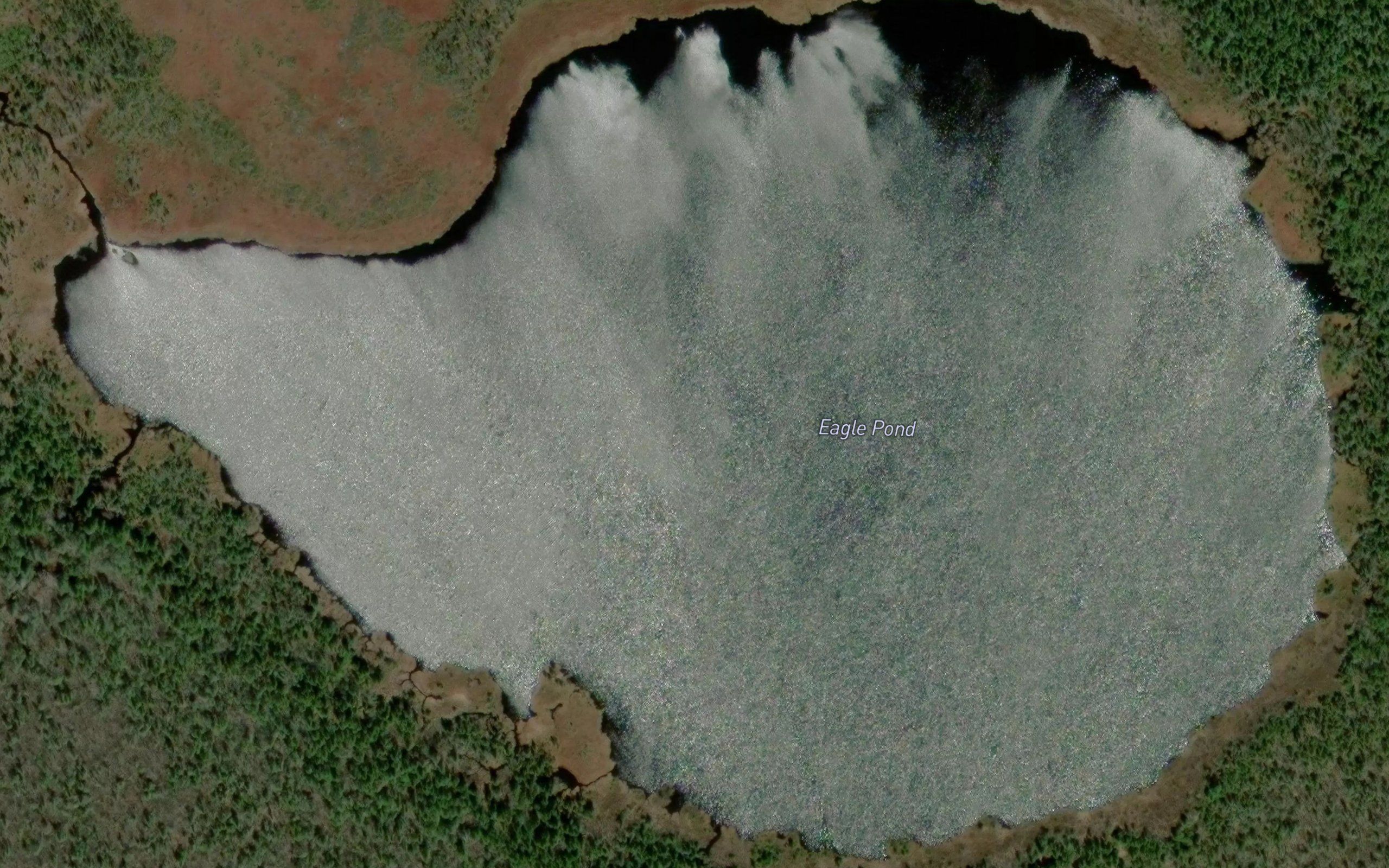 Eagle Pond