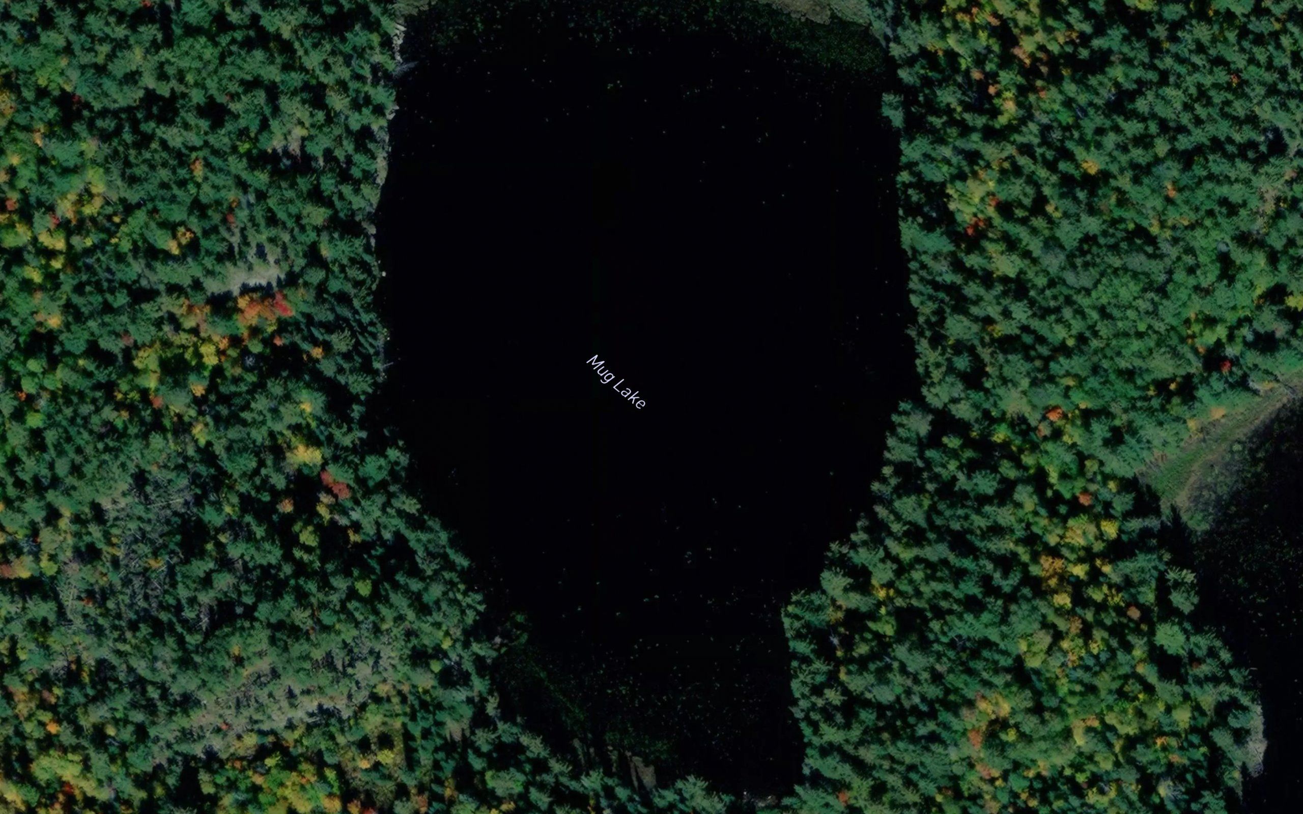 Mug Lake