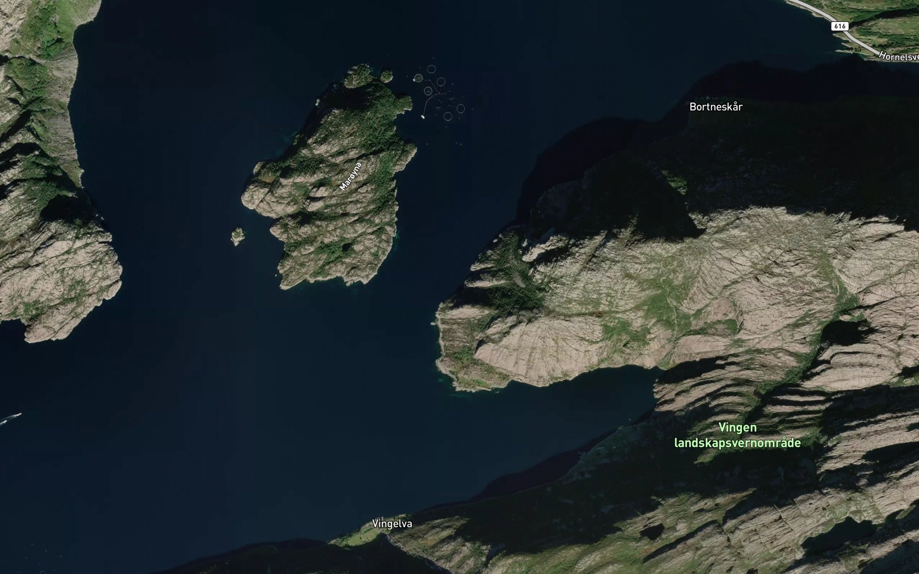 Satellite map of the Lyrevikane