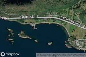 Grytebustvika